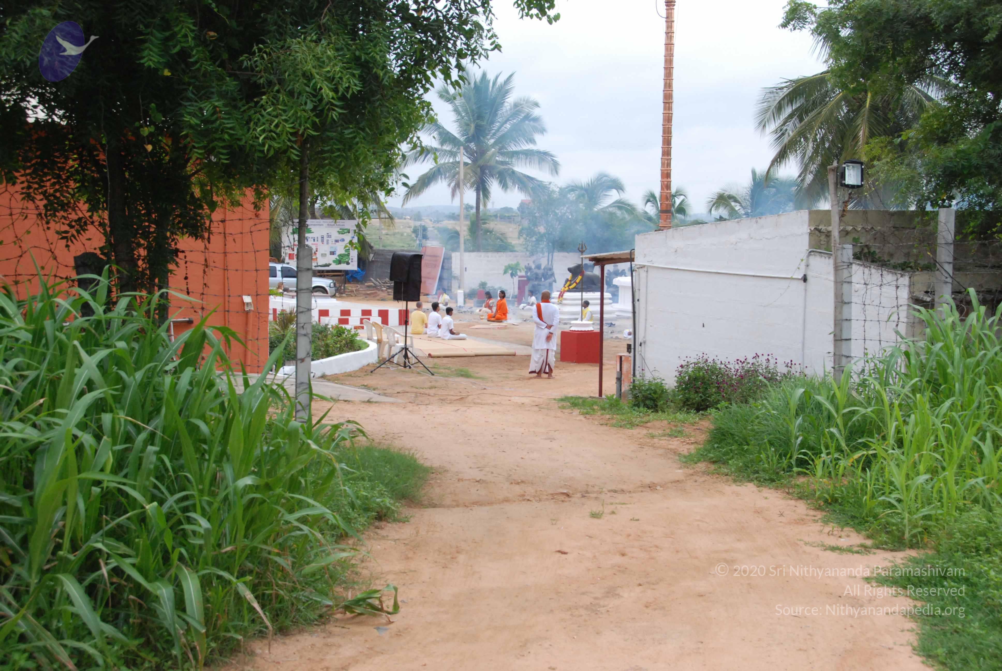 20170720_Photo_1157_DSC_3894_CMP_WM