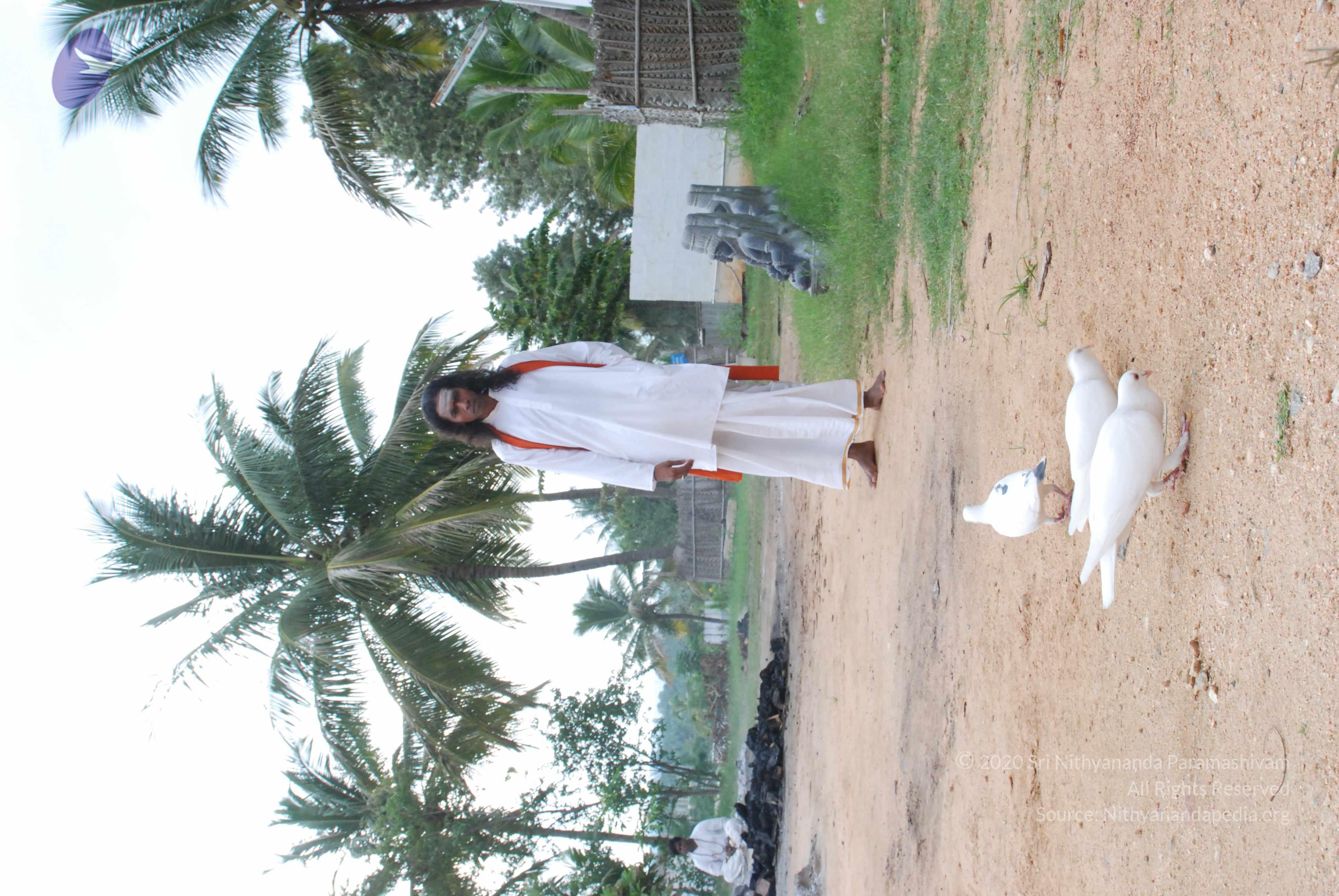 20170720_Photo_1161_DSC_4076_CMP_WM