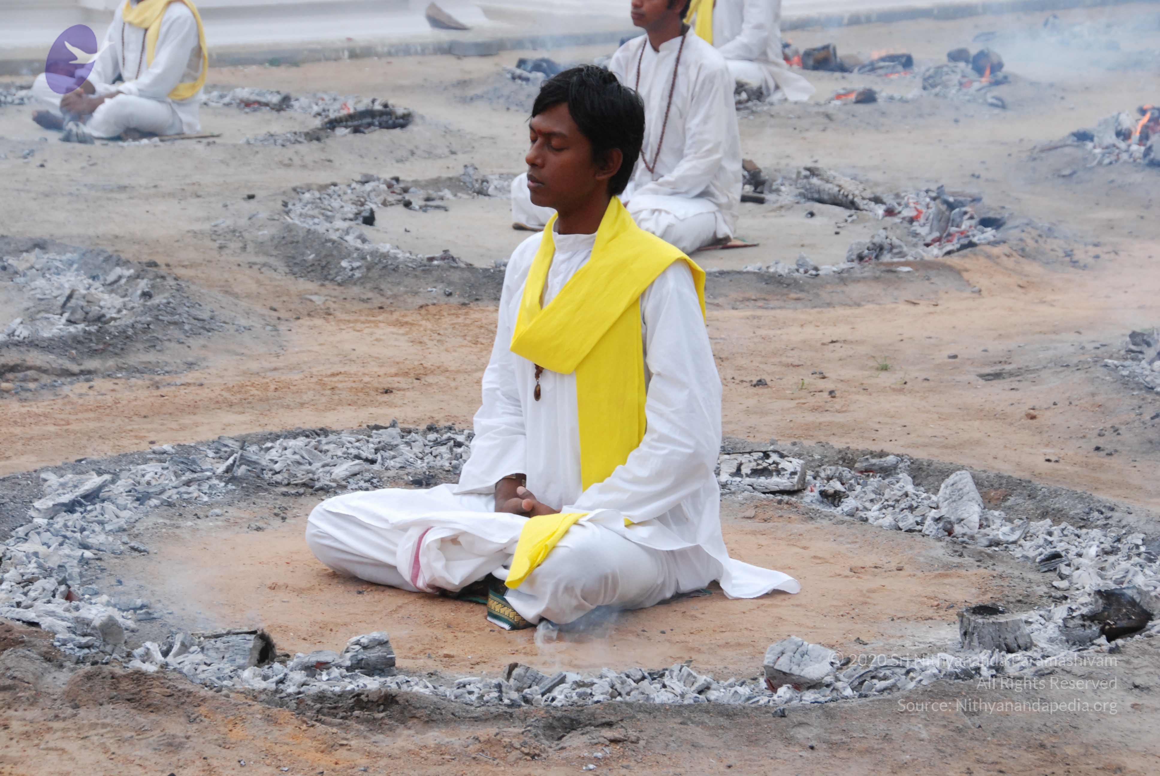 20170720_Photo_1162_DSC_3901_CMP_WM