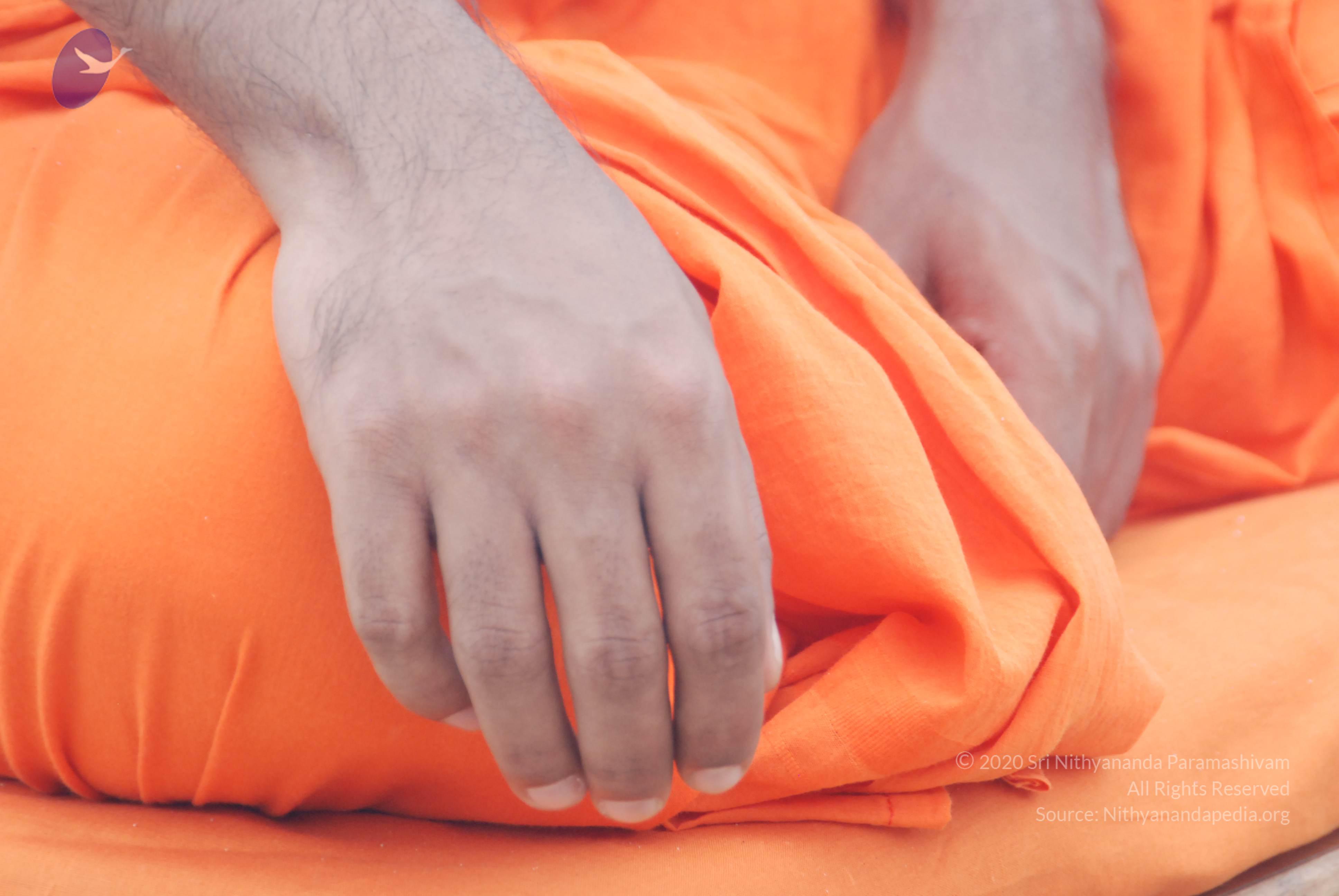 20170720_Photo_1163_DSC_3936_CMP_WM