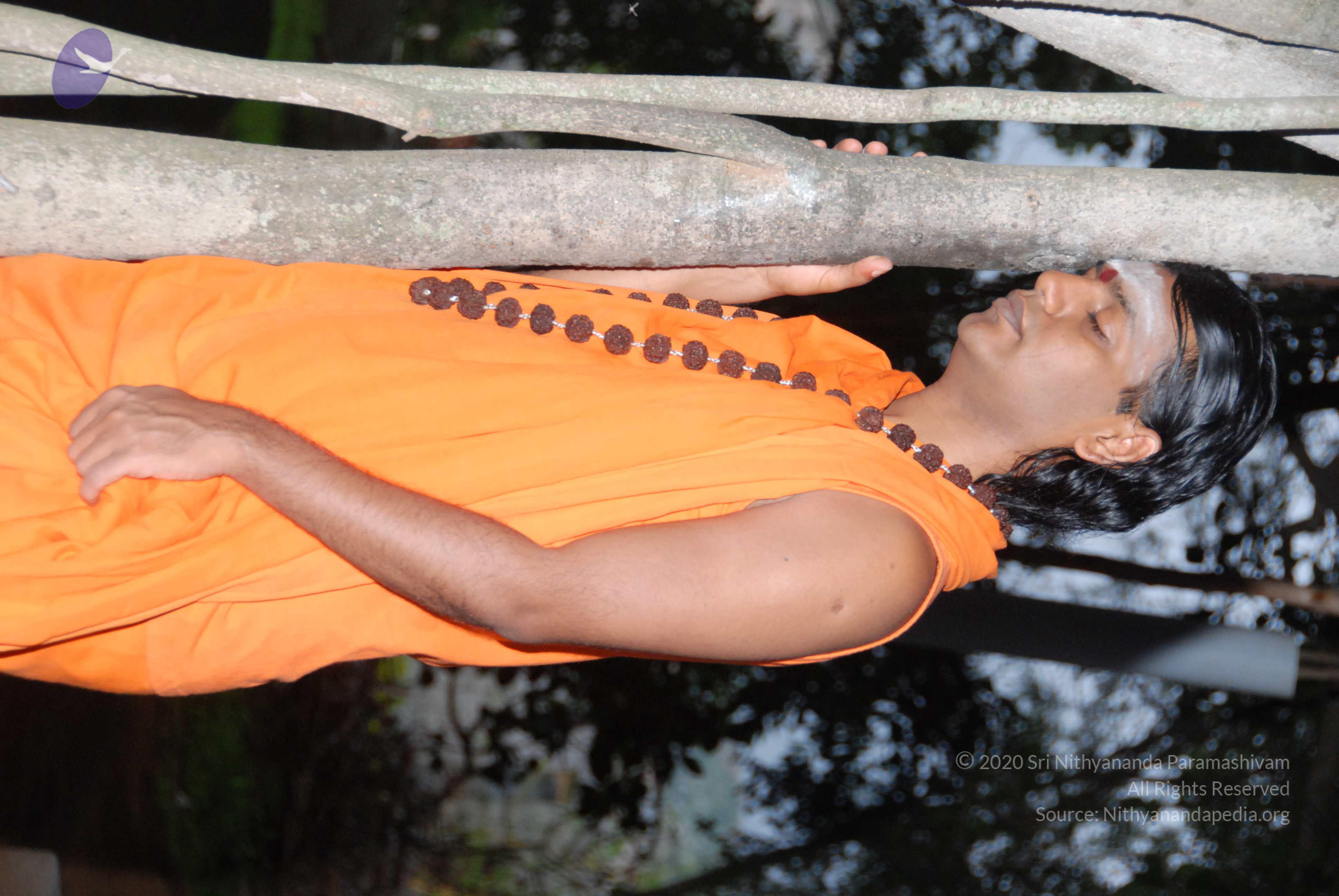 20170720_Photo_1164_DSC_3815_CMP_WM