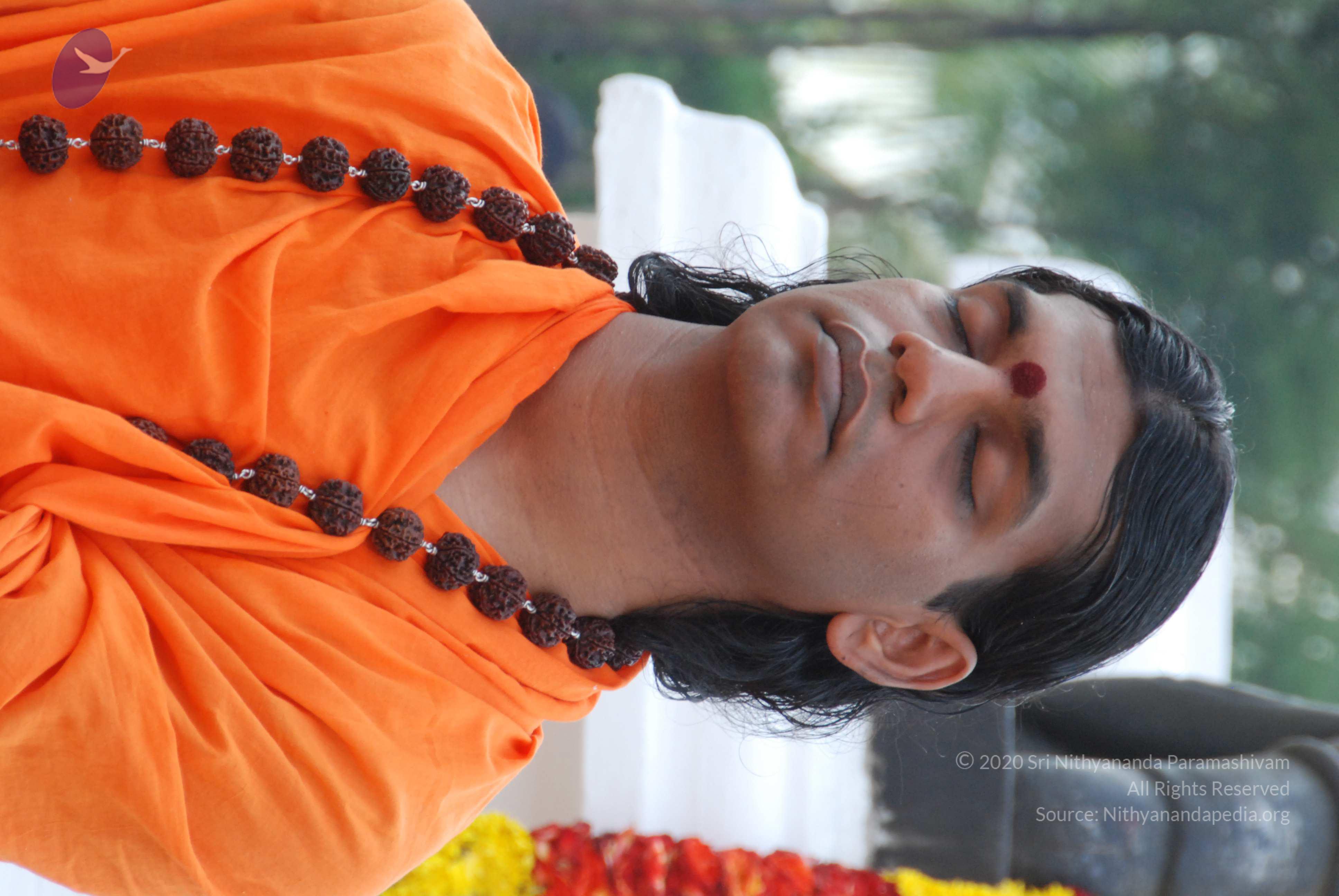 20170720_Photo_1166_DSC_4014_CMP_WM