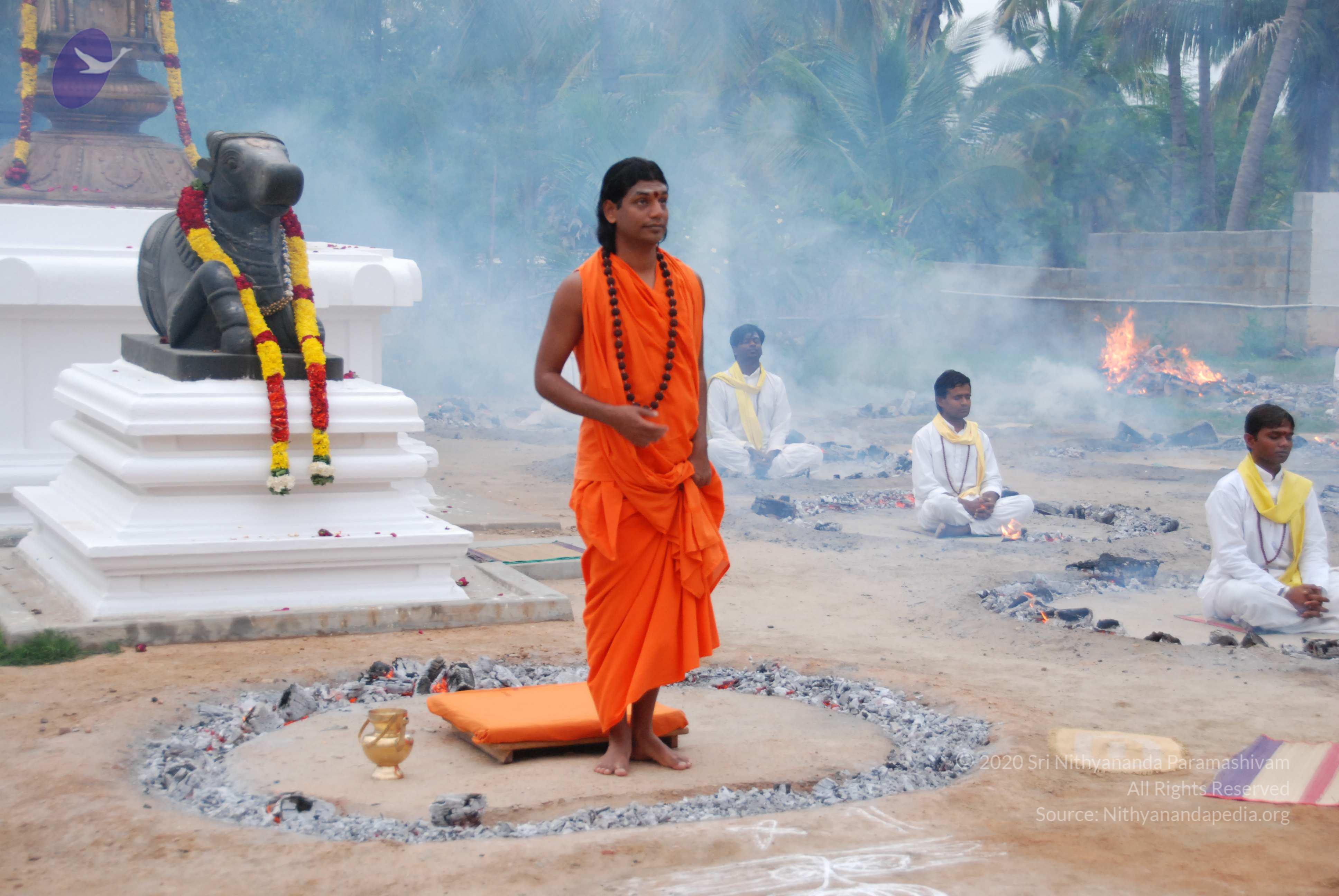 20170720_Photo_1167_DSC_3822_CMP_WM