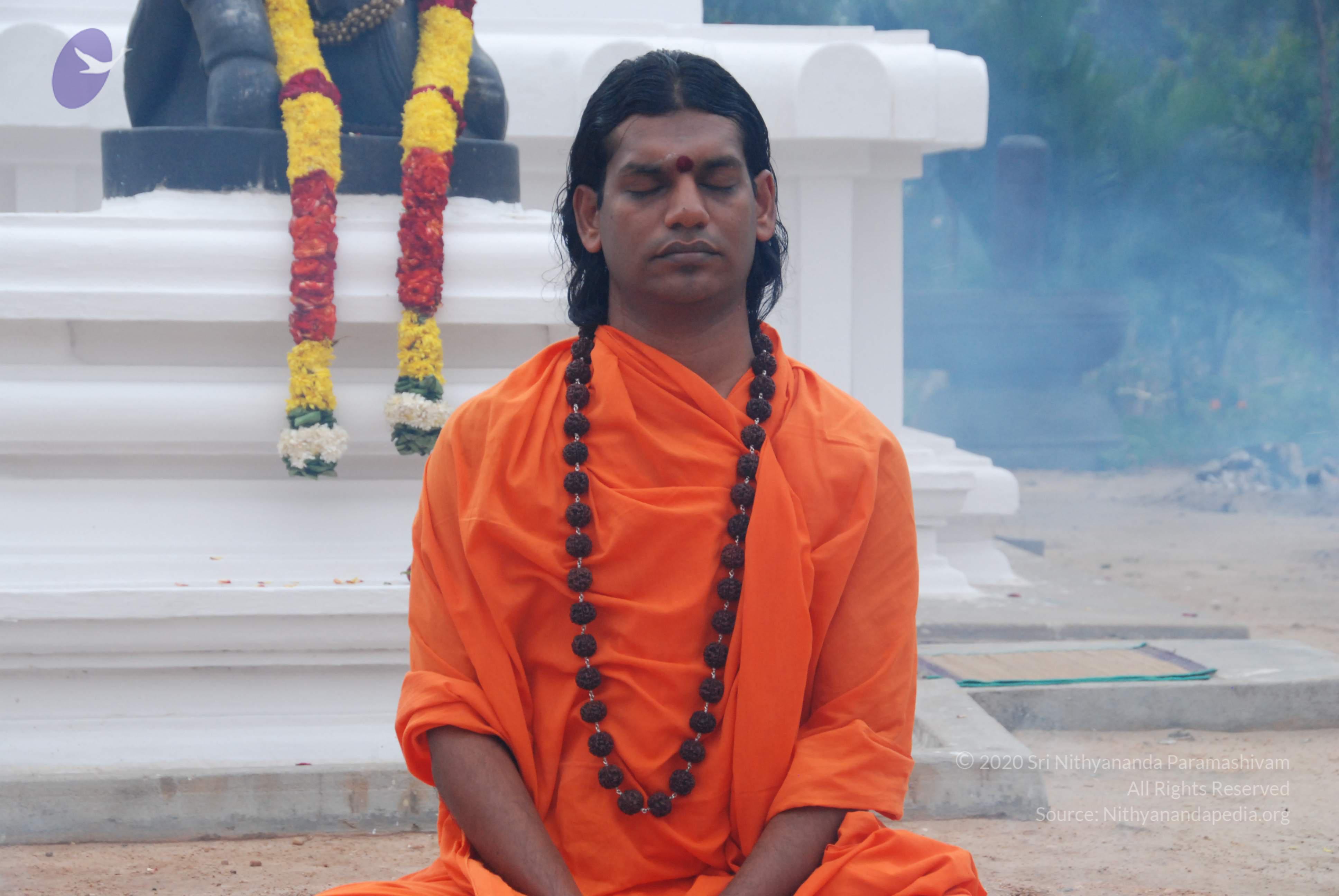 20170720_Photo_1168_DSC_3888_CMP_WM