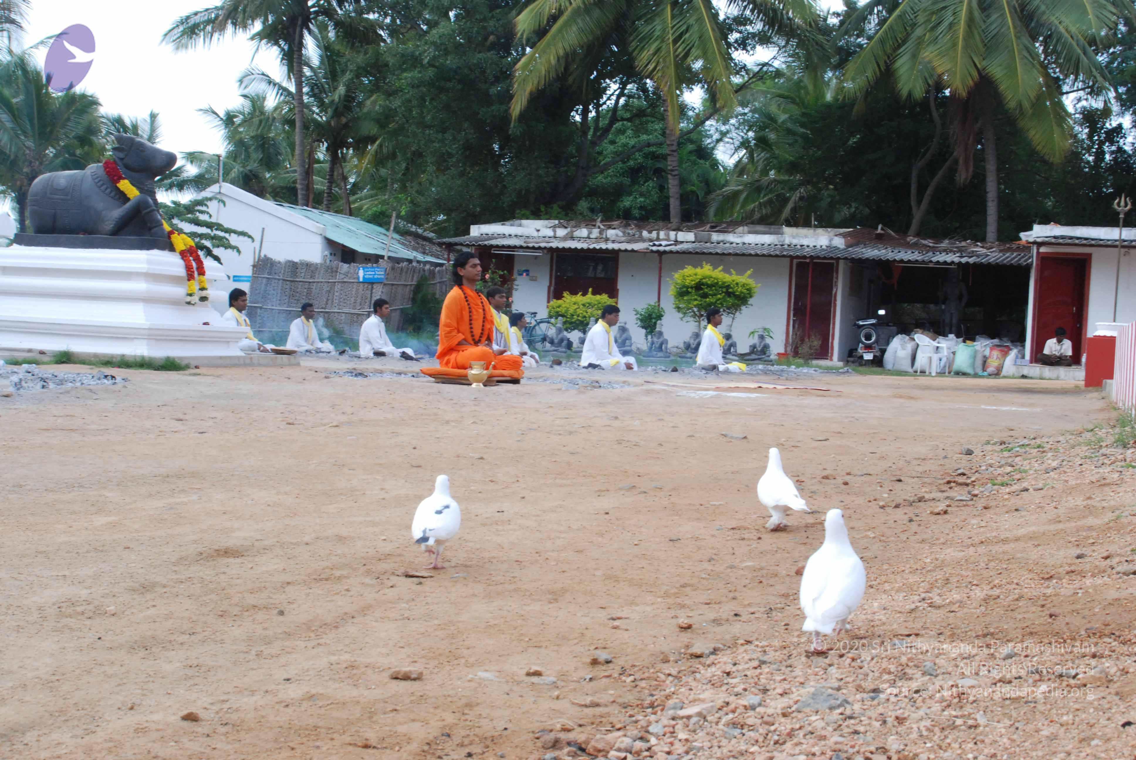 20170720_Photo_1170_DSC_4005_CMP_WM