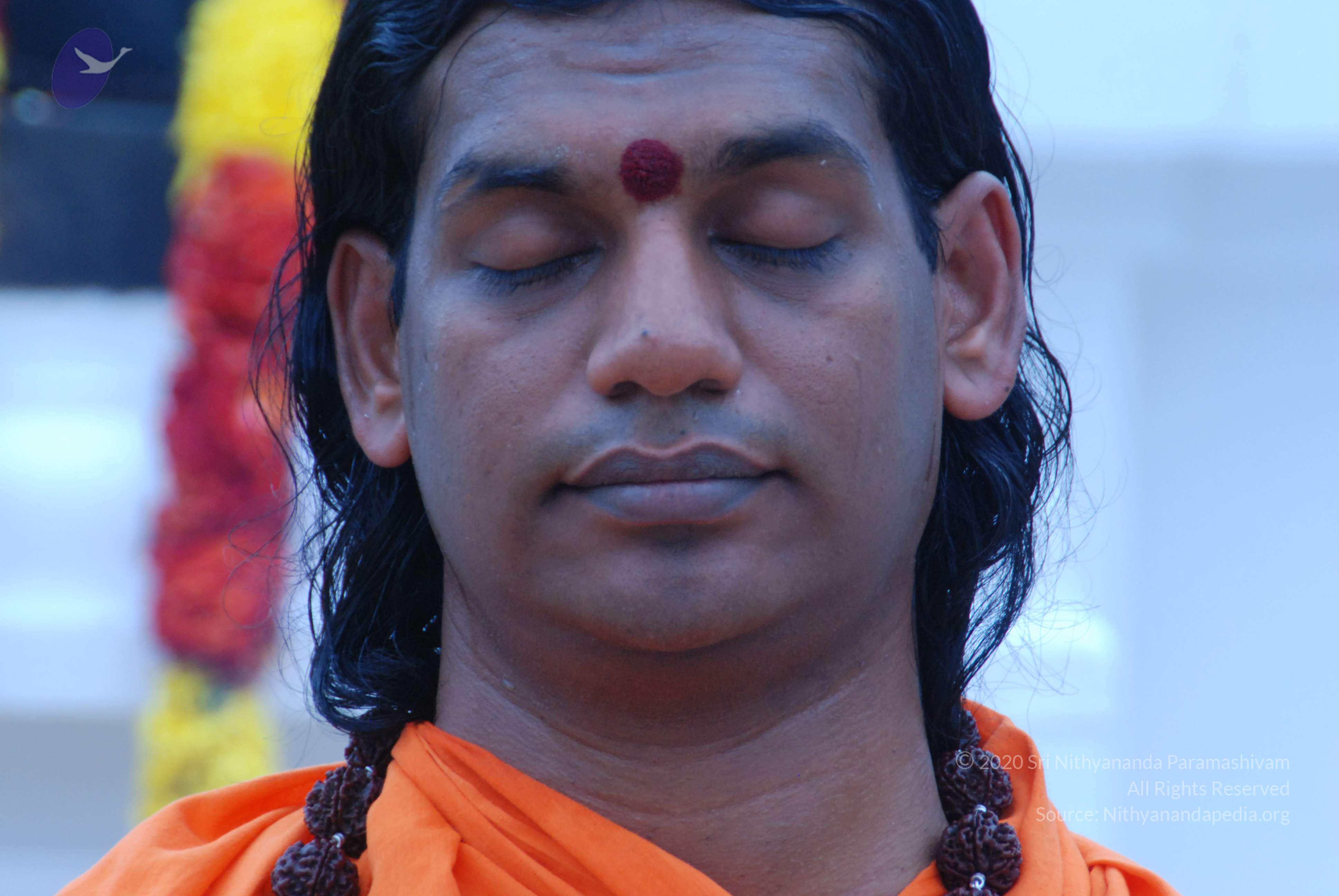 20170720_Photo_1174_DSC_3910_CMP_WM