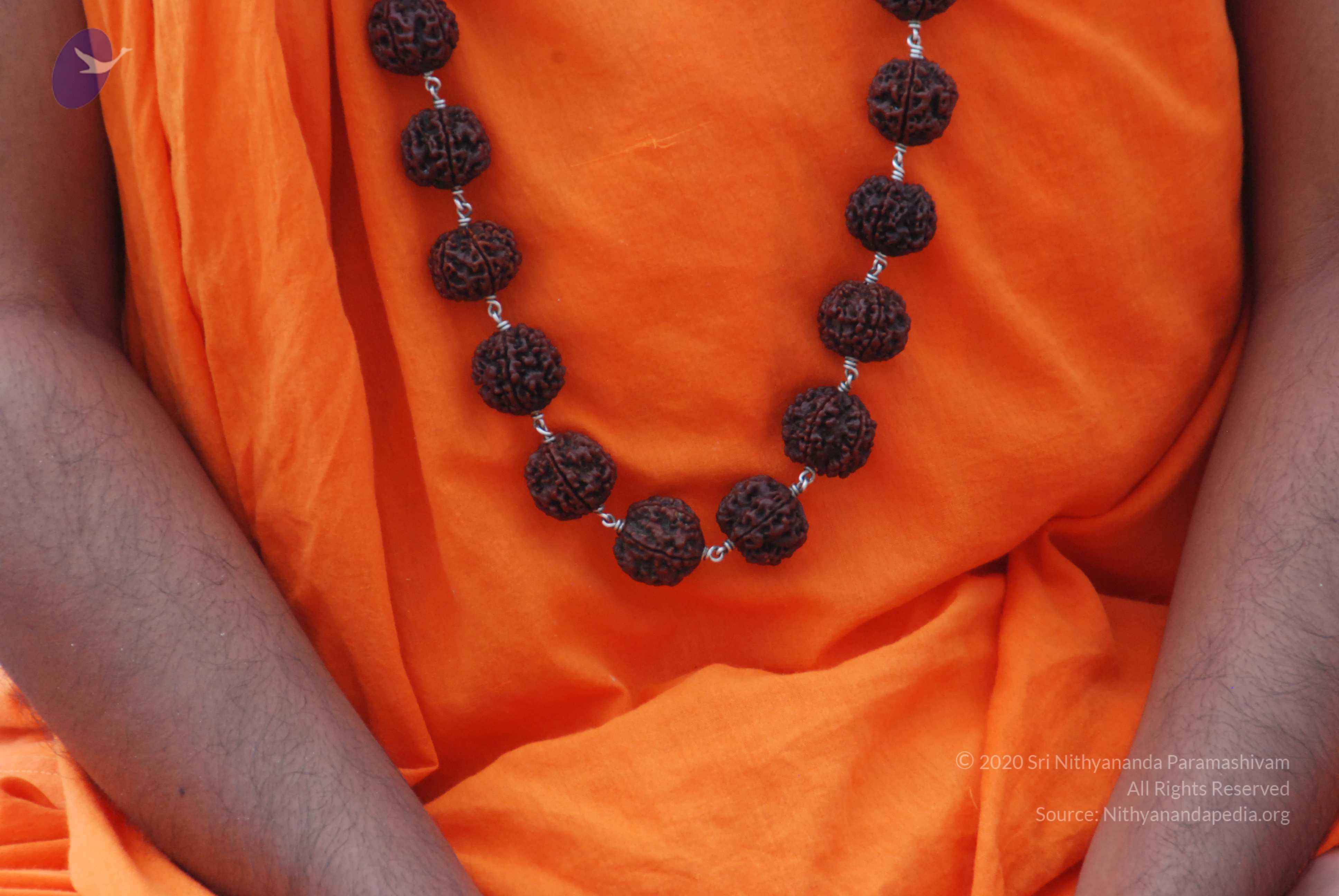 20170720_Photo_1176_DSC_4067_CMP_WM