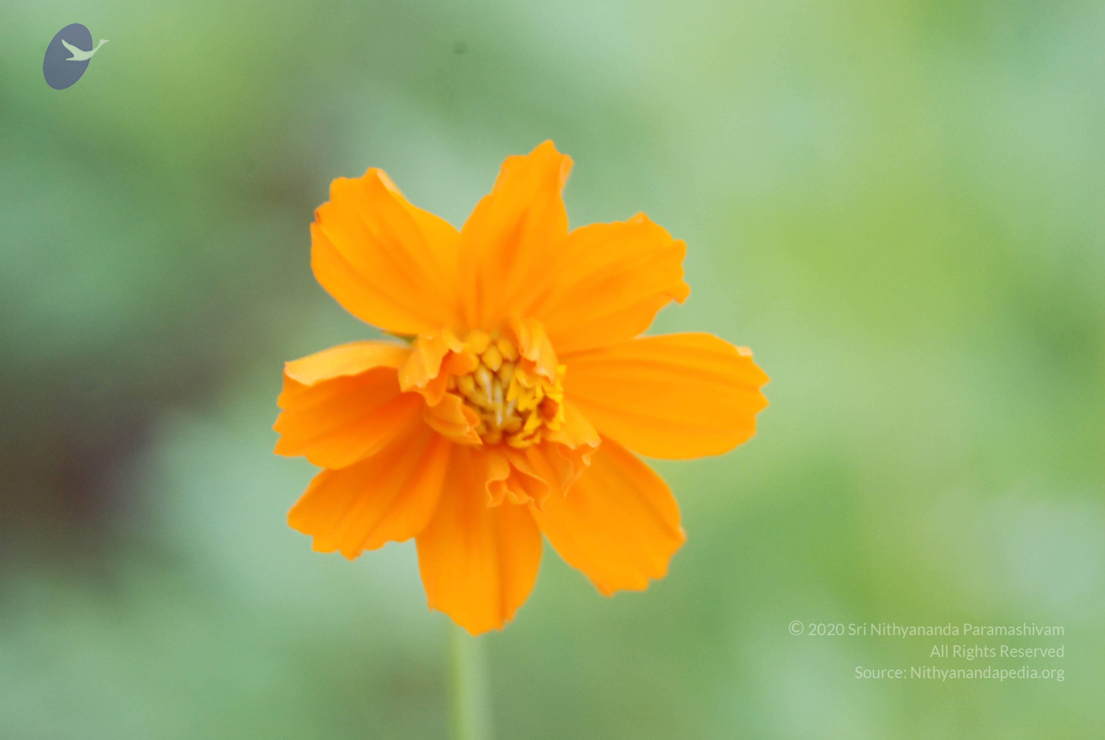 20170720_Photo_1180_DSC_3972_CMP_WM