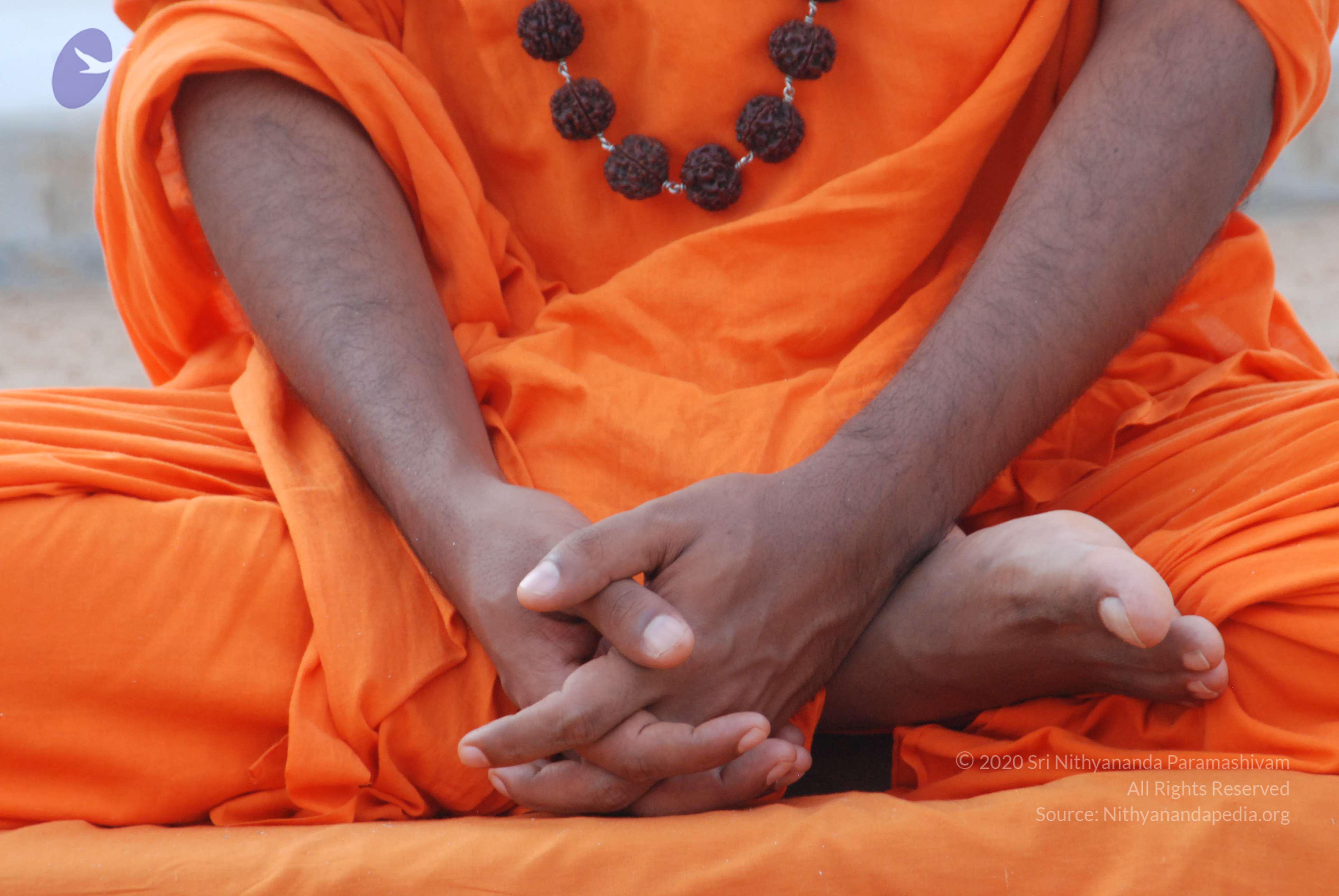 20170720_Photo_1184_DSC_4019_CMP_WM