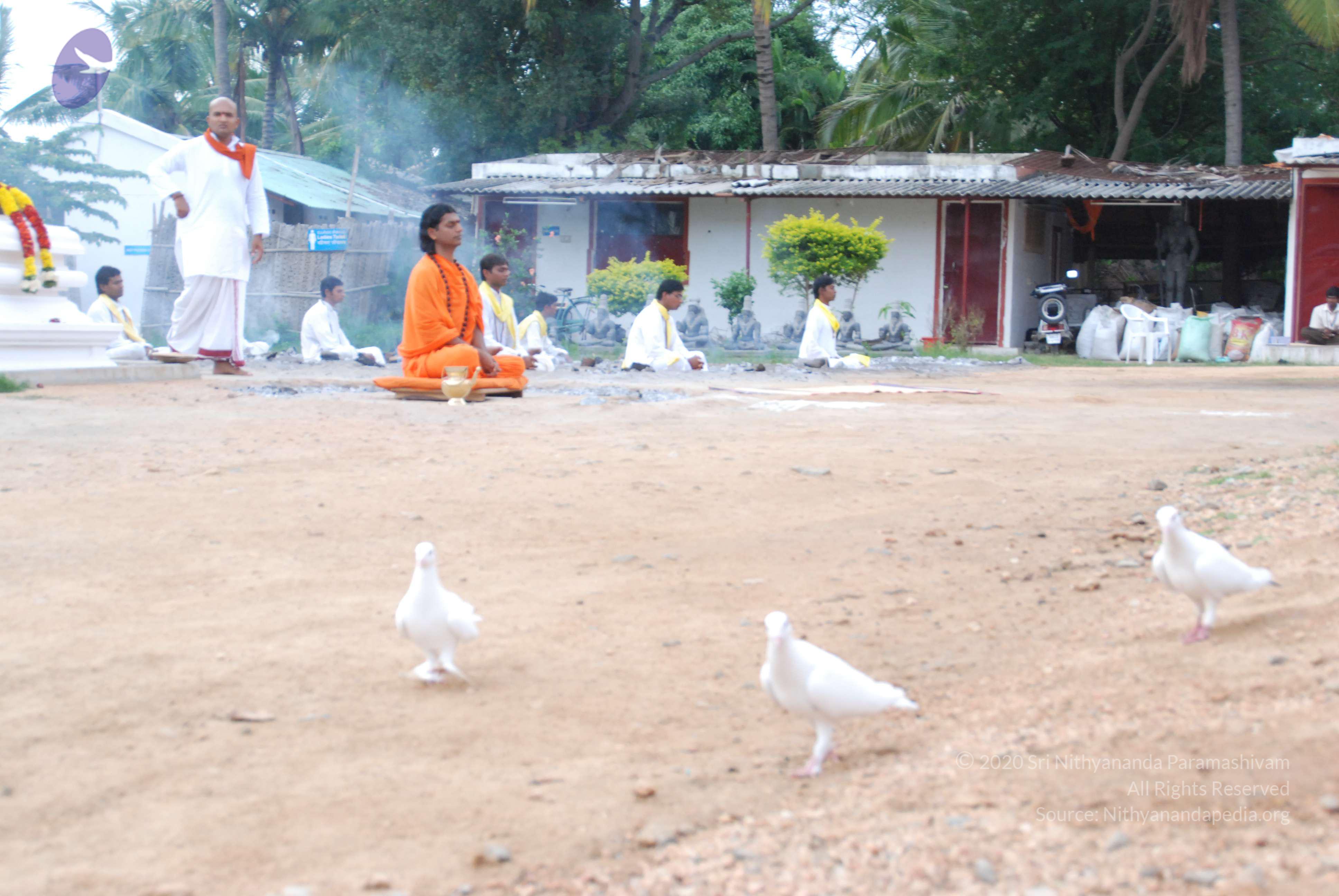 20170720_Photo_1188_DSC_3996_CMP_WM