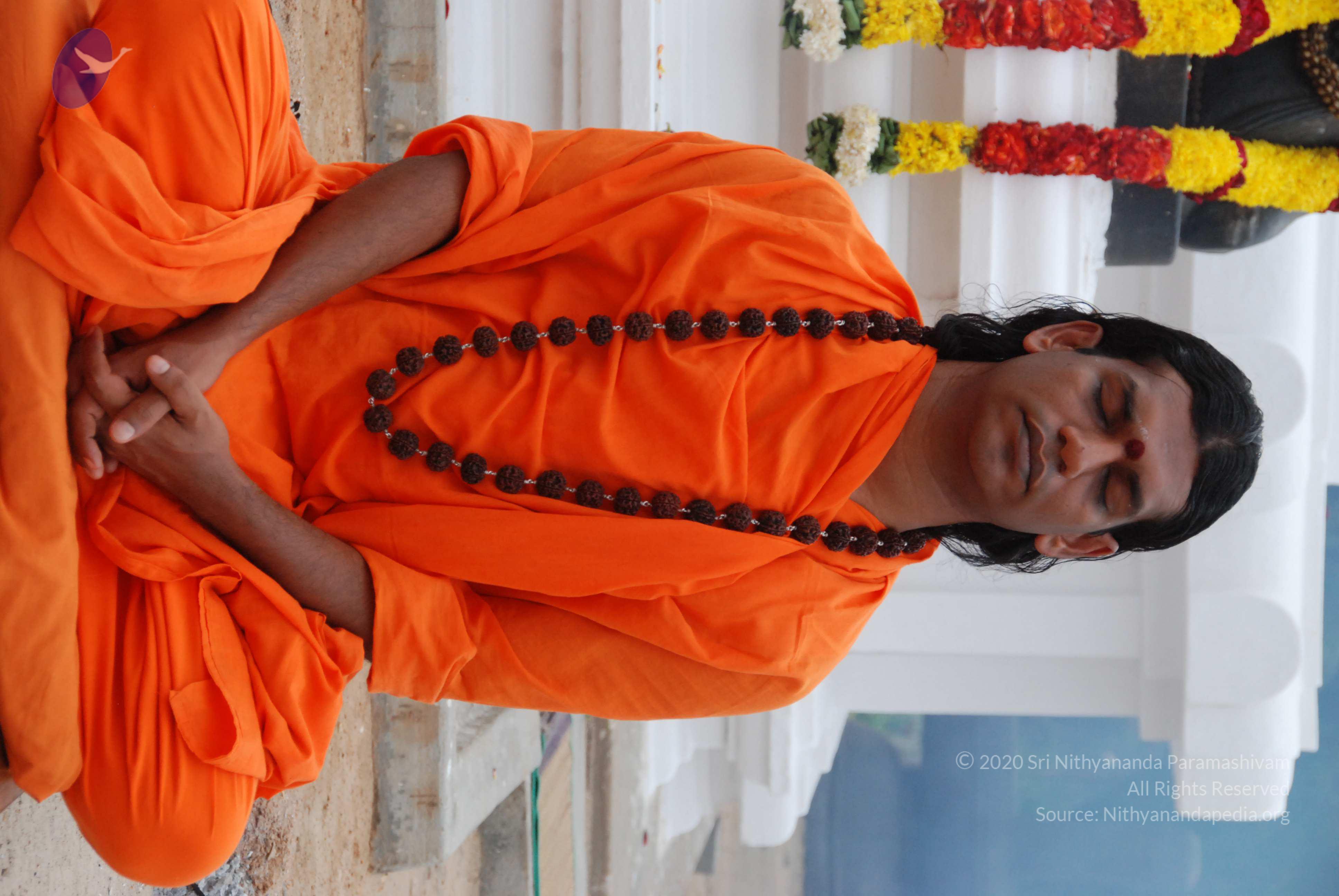 20170720_Photo_1190_DSC_3882_CMP_WM