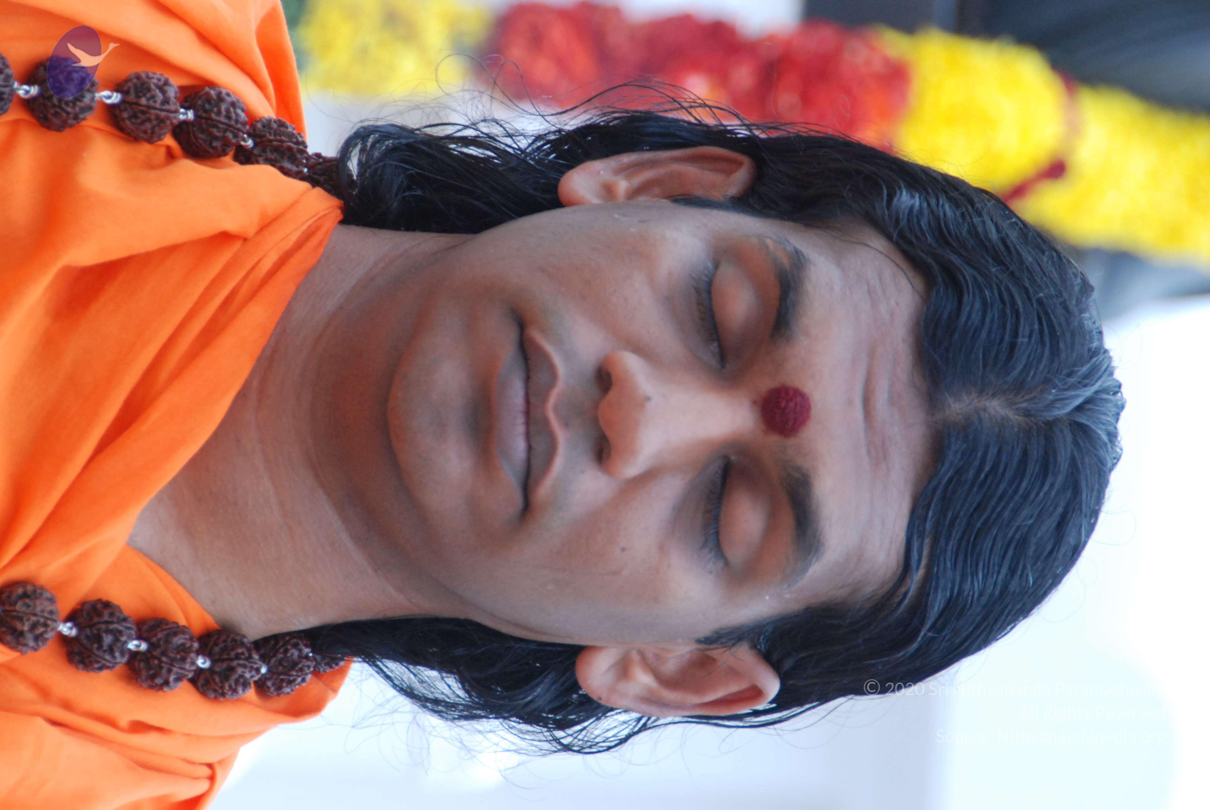 20170720_Photo_1191_DSC_3920_CMP_WM