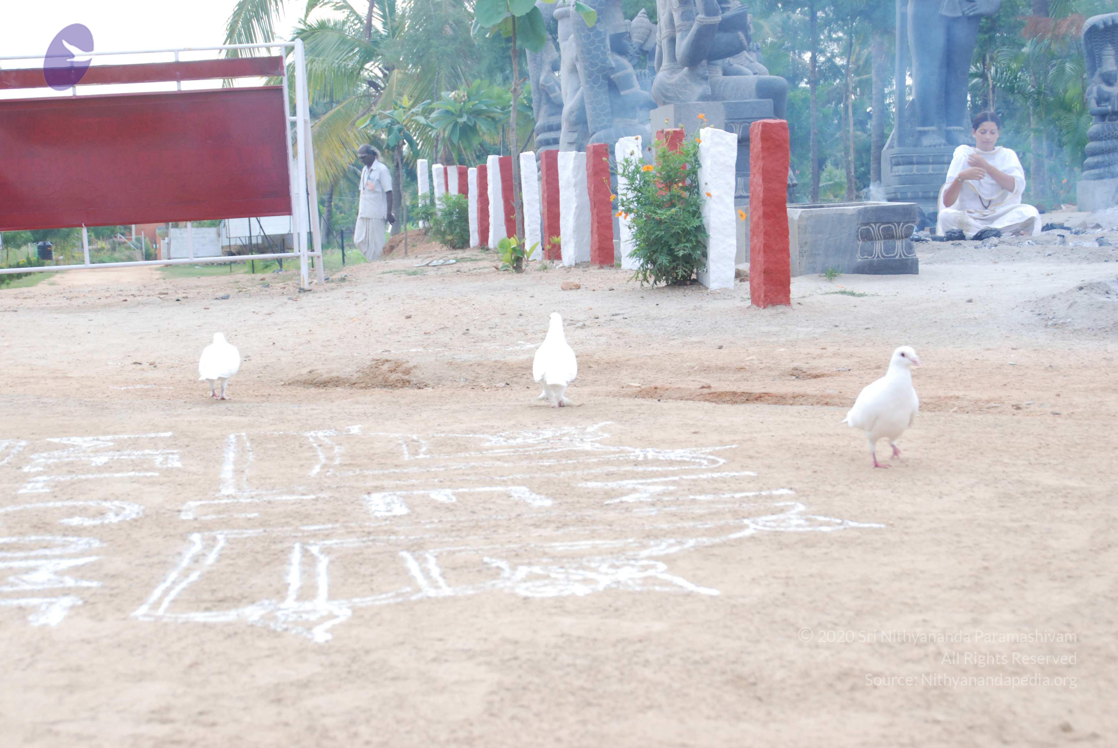 20170720_Photo_1193_DSC_4002_CMP_WM