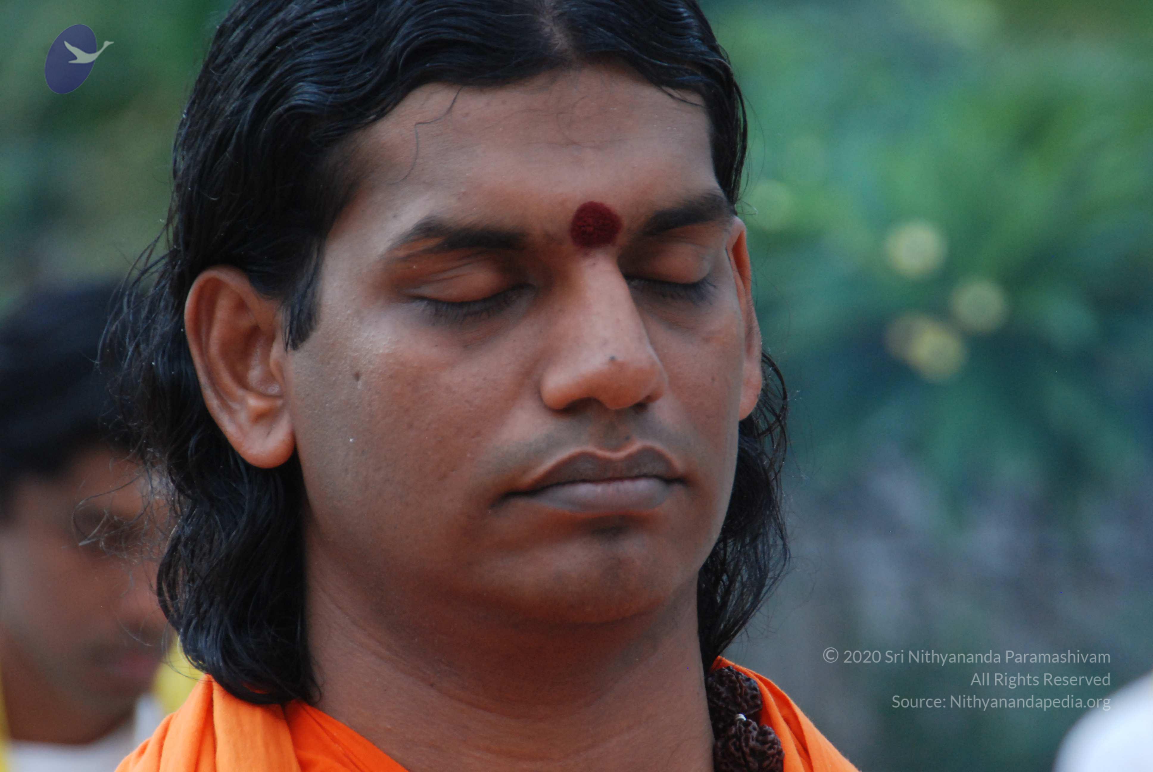 20170720_Photo_1196_DSC_4060_CMP_WM