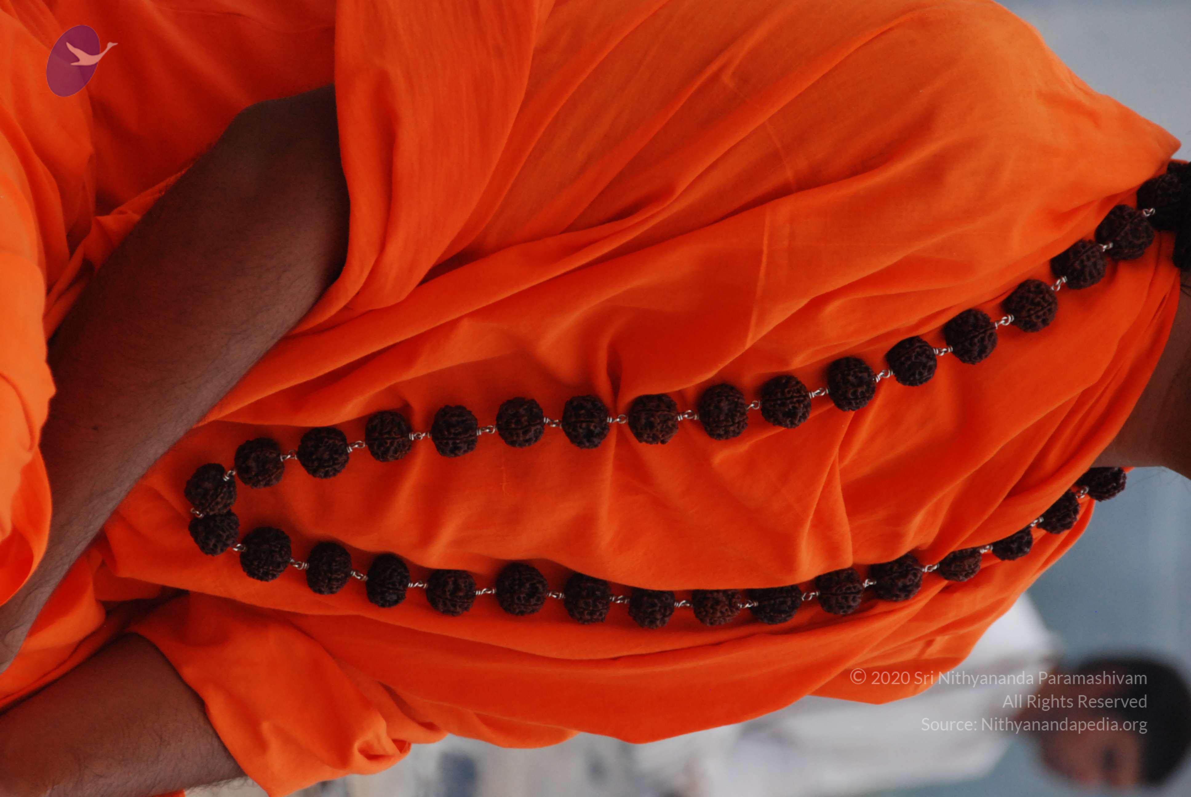 20170720_Photo_1198_DSC_3861_CMP_WM