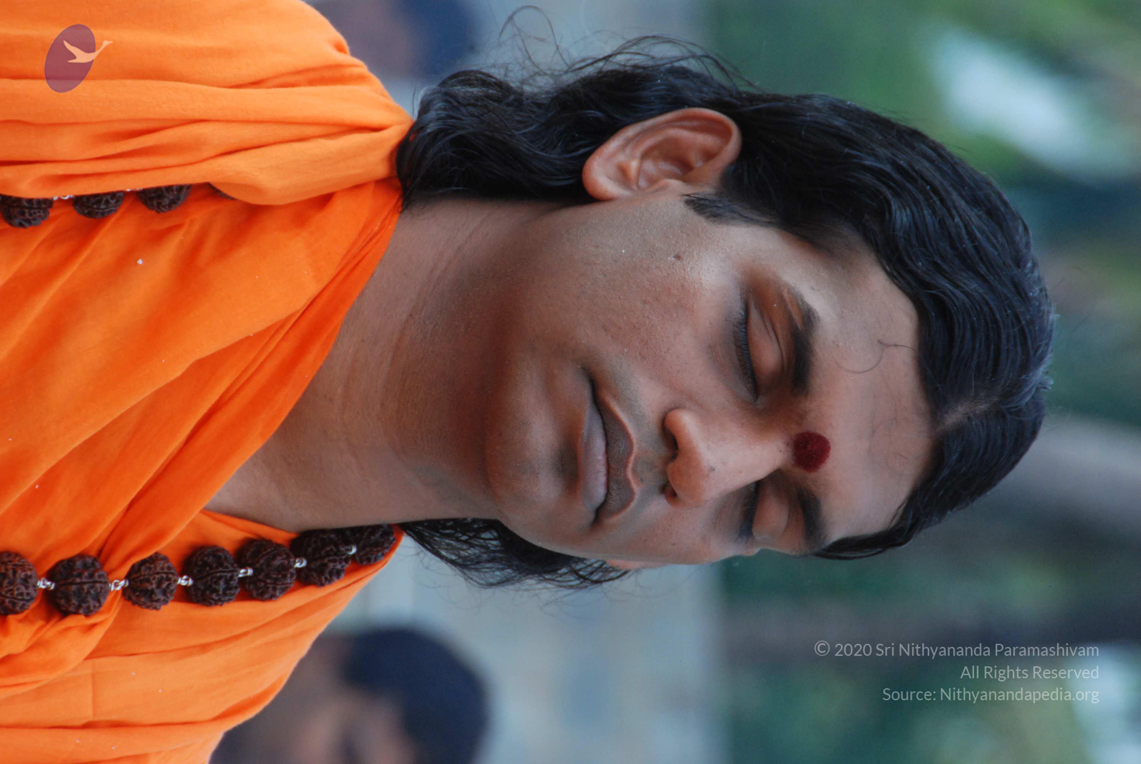 20170720_Photo_1199_DSC_4057_CMP_WM