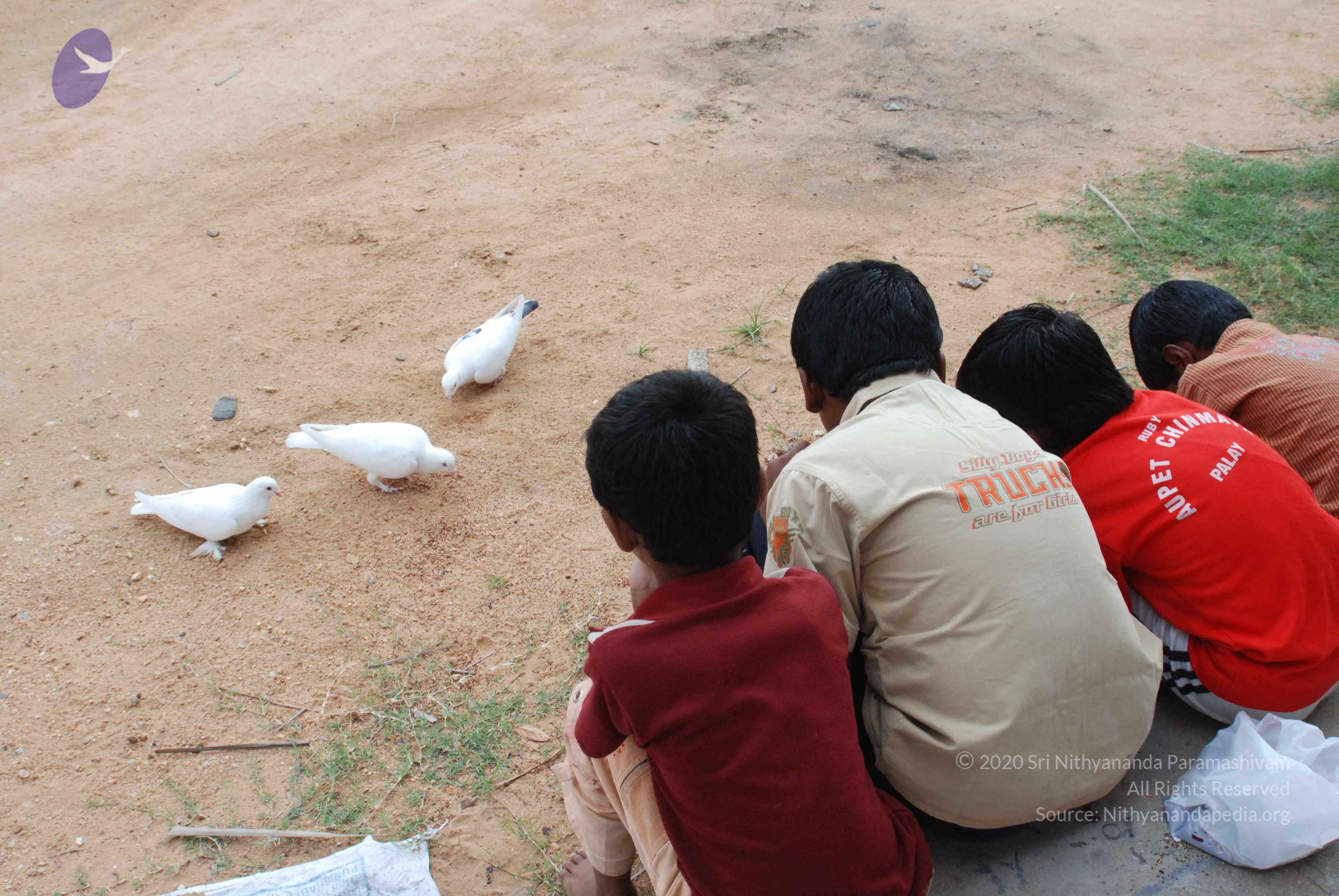 20170720_Photo_1202_DSC_4071_CMP_WM