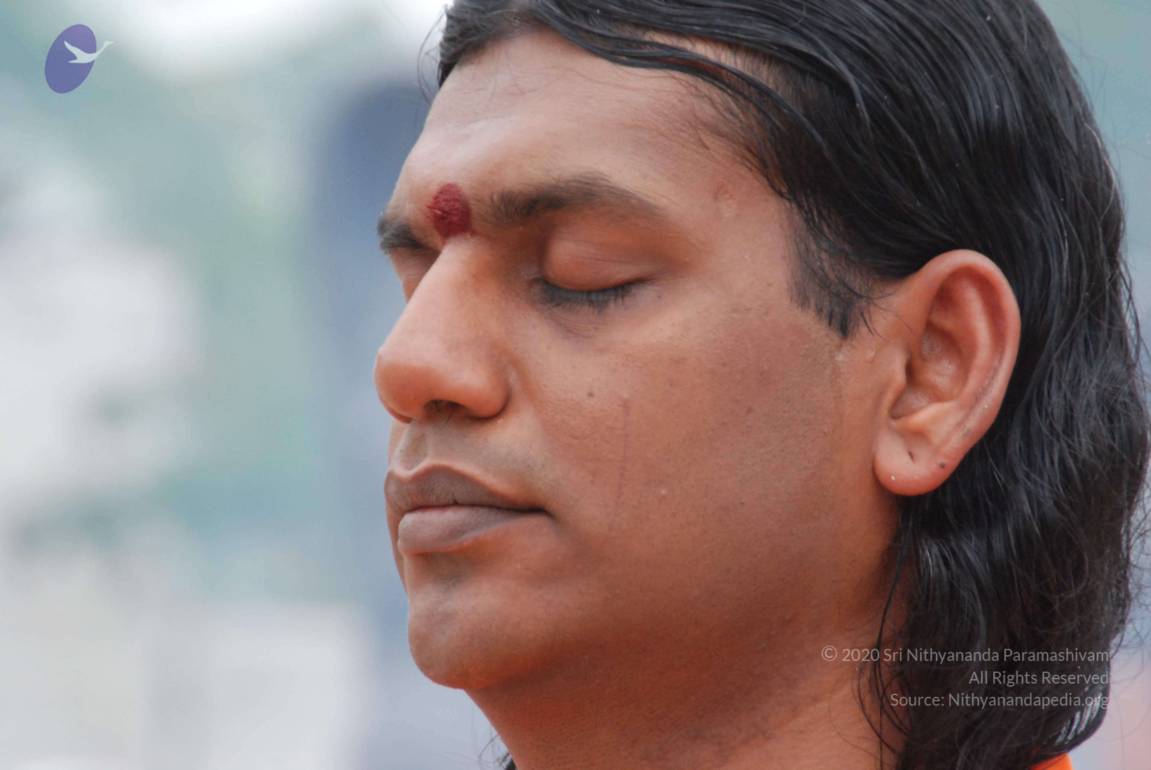 20170720_Photo_1205_DSC_3953_CMP_WM