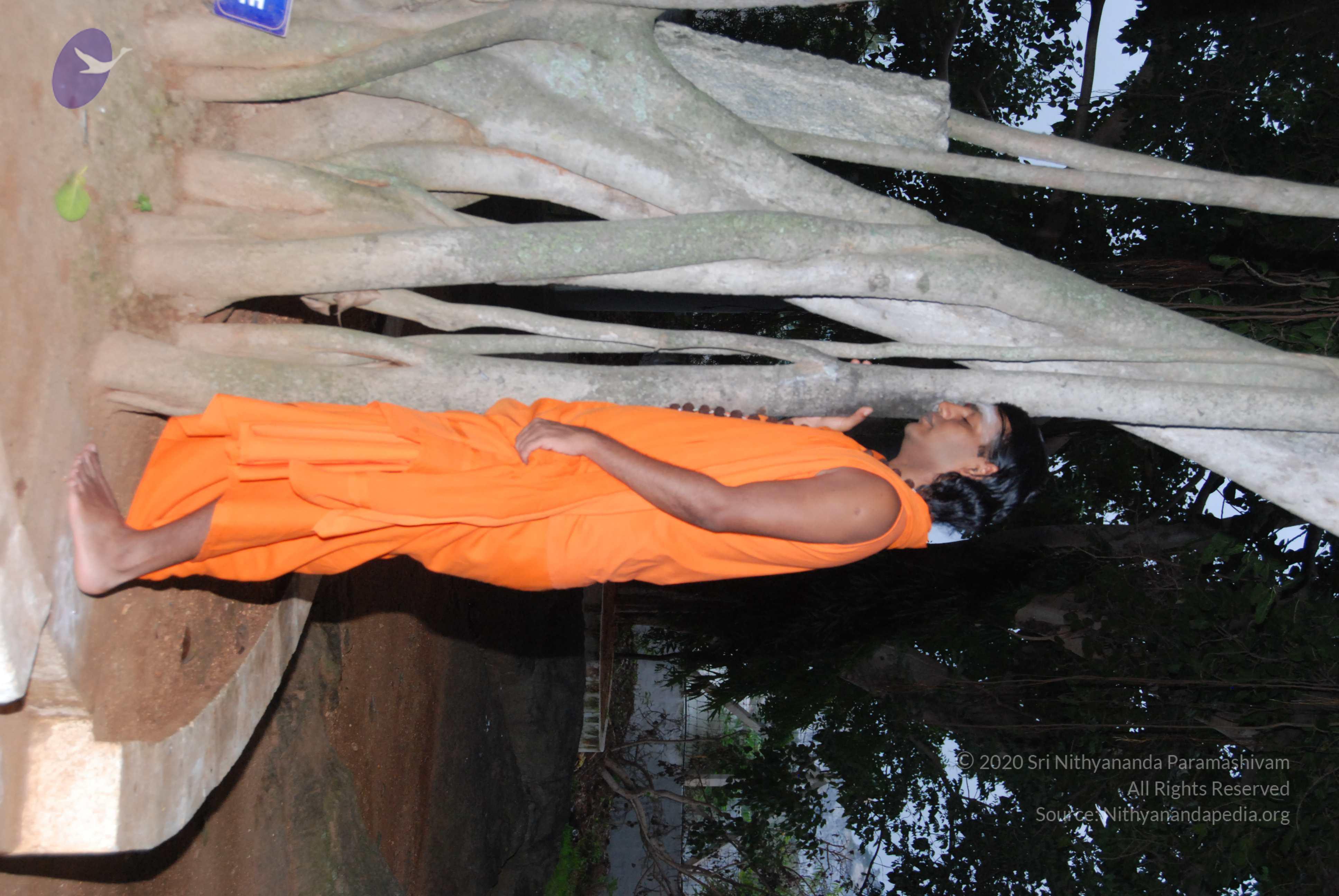 20170720_Photo_1207_DSC_3812_CMP_WM