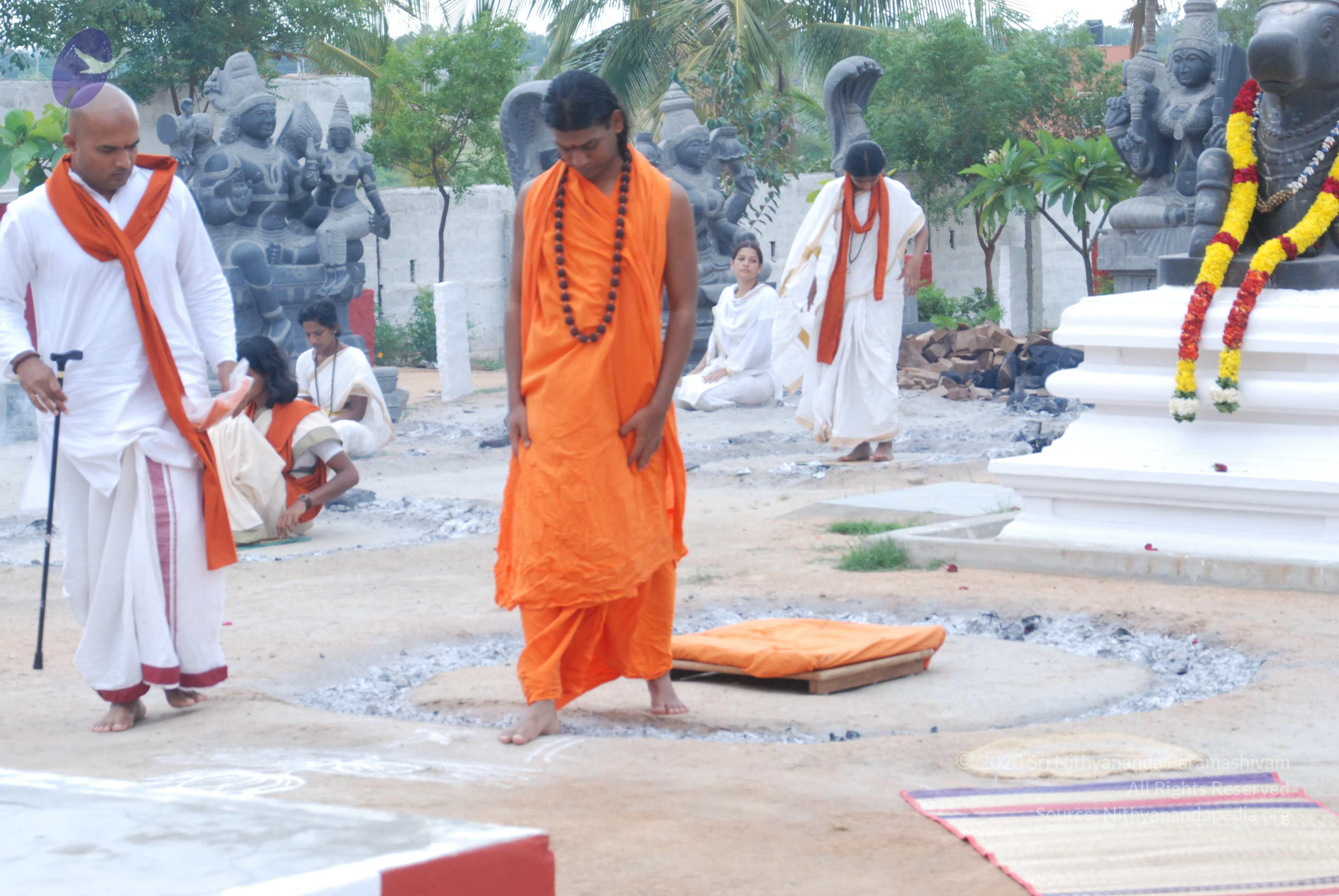 20170720_Photo_1210_DSC_4107_CMP_WM