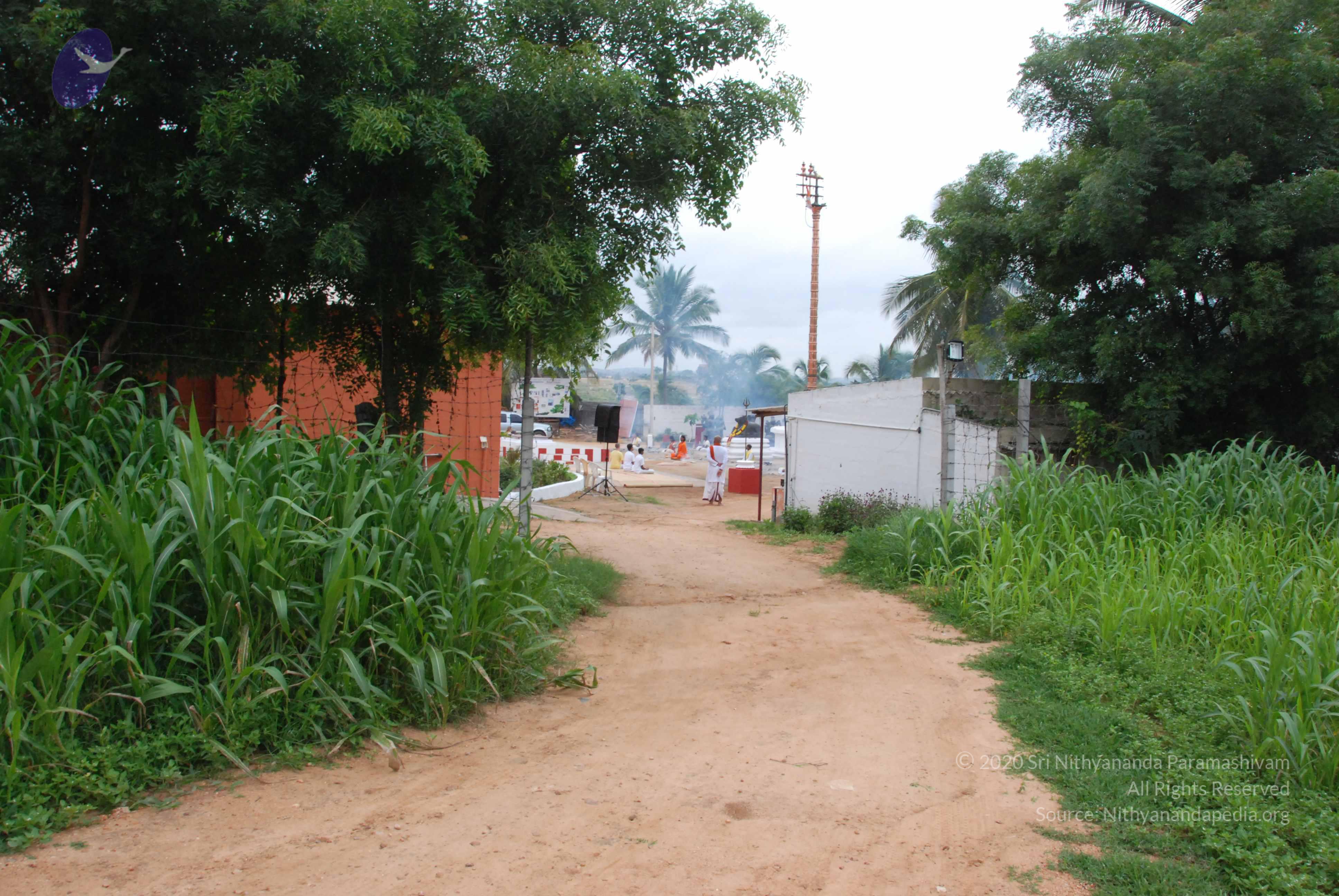 20170720_Photo_1212_DSC_3893_CMP_WM