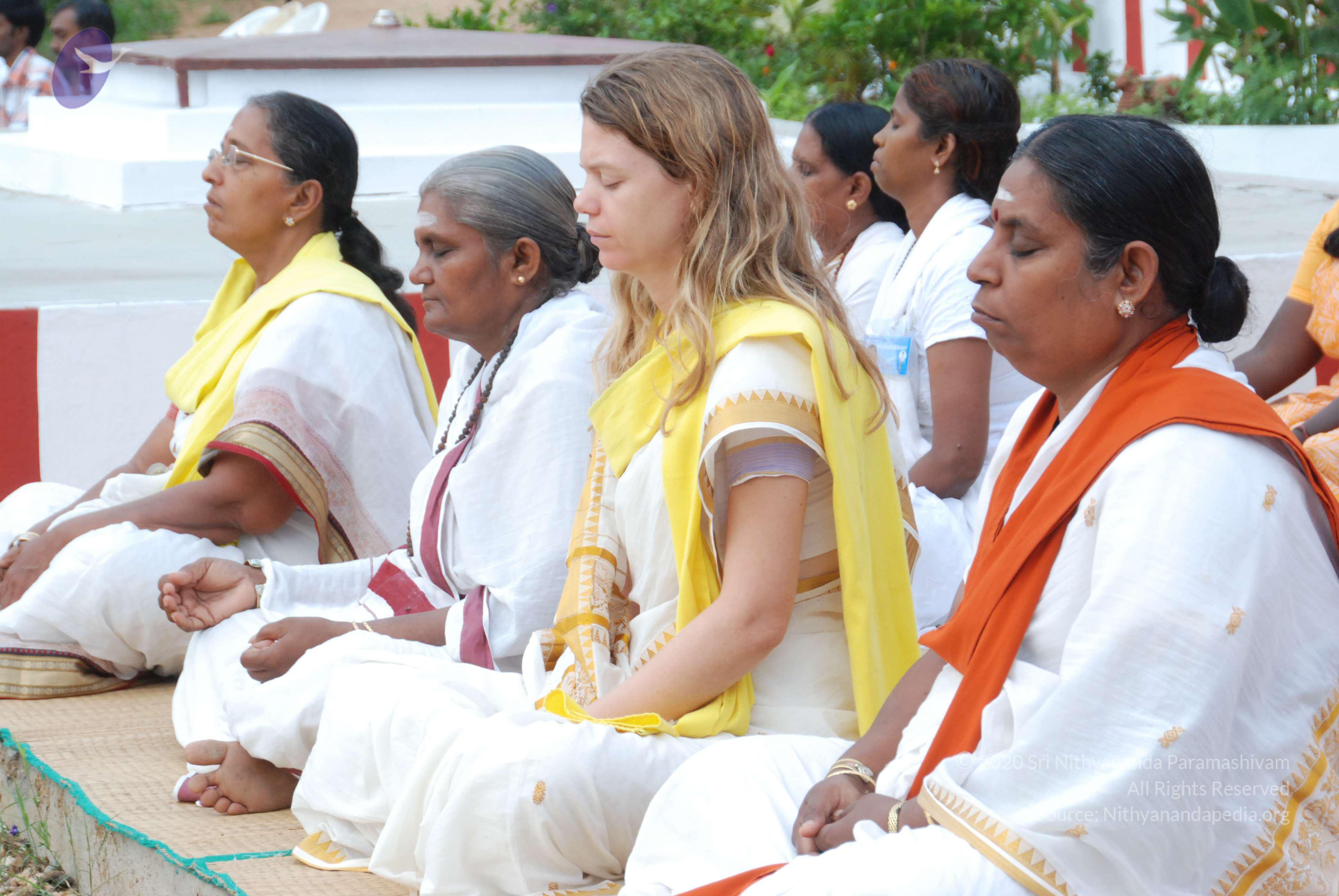 20170720_Photo_1215_DSC_3978_CMP_WM