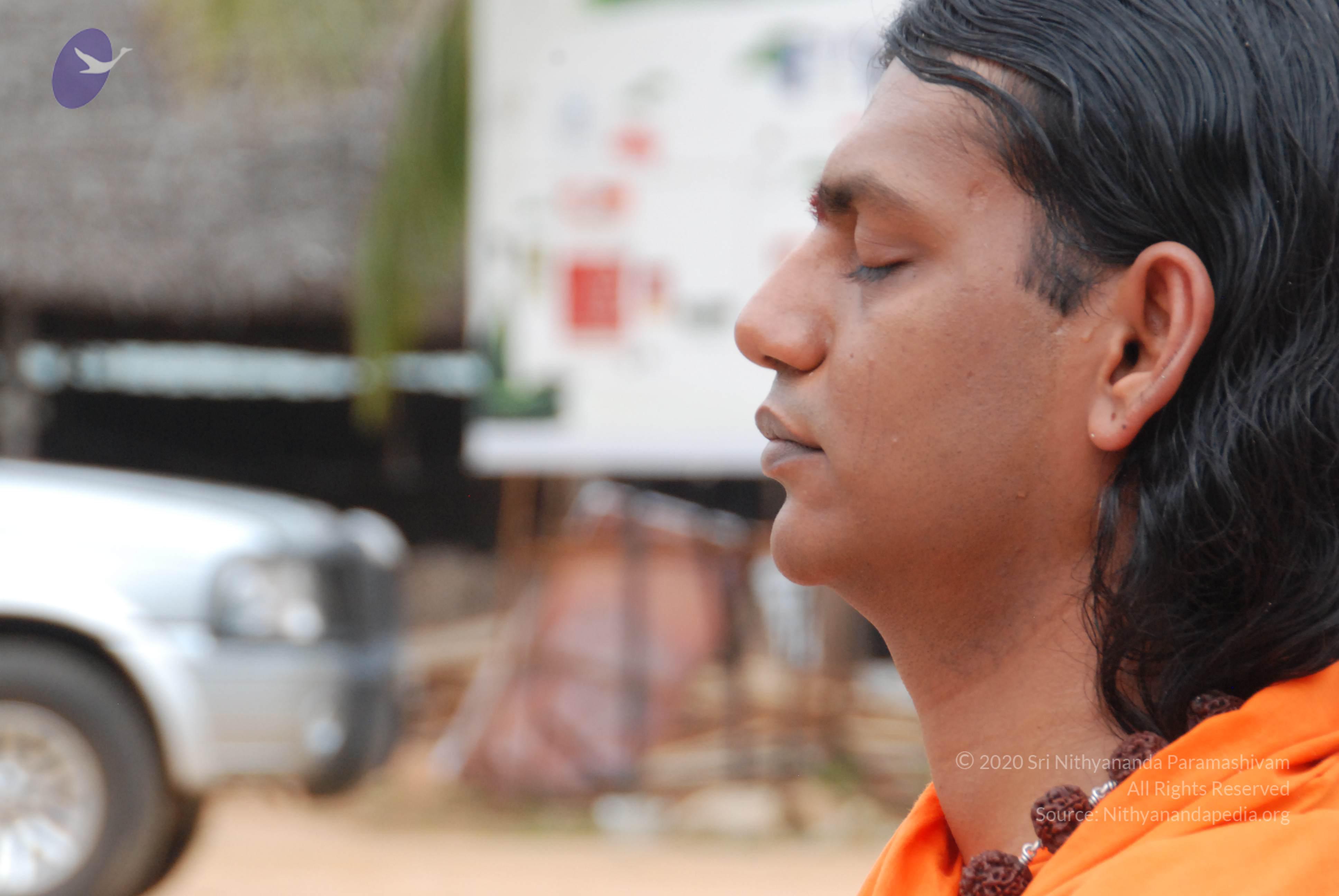 20170720_Photo_1217_DSC_3956_CMP_WM