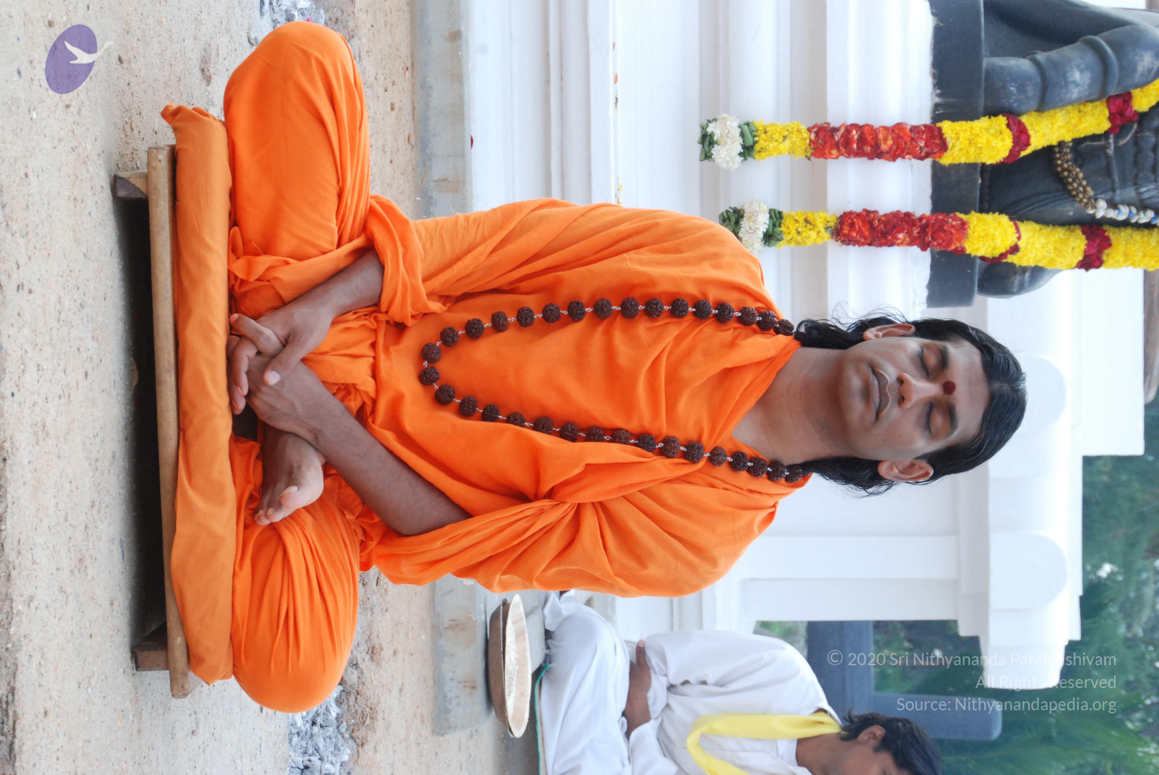 20170720_Photo_1226_DSC_4016_CMP_WM