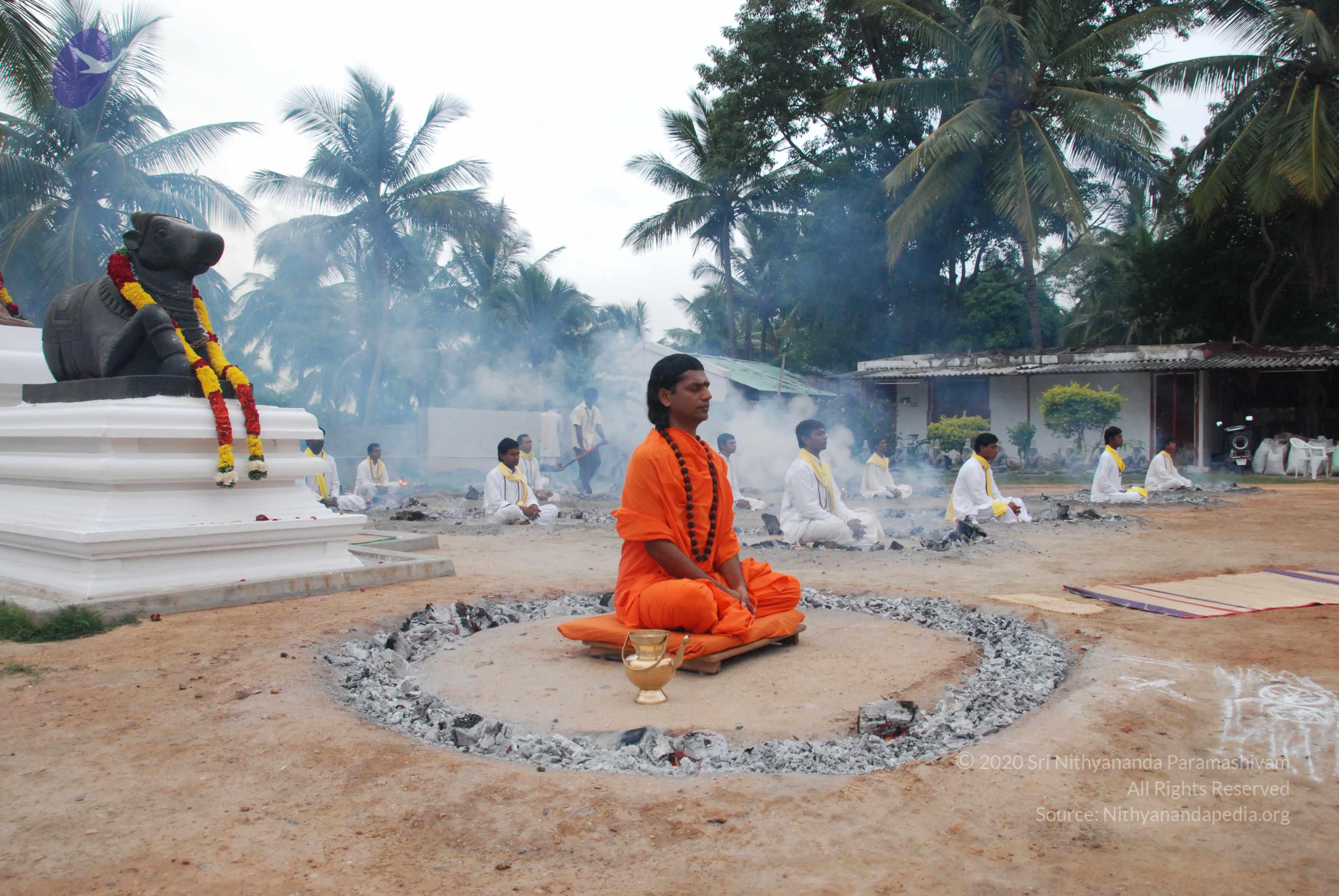 20170720_Photo_1229_DSC_3869_CMP_WM