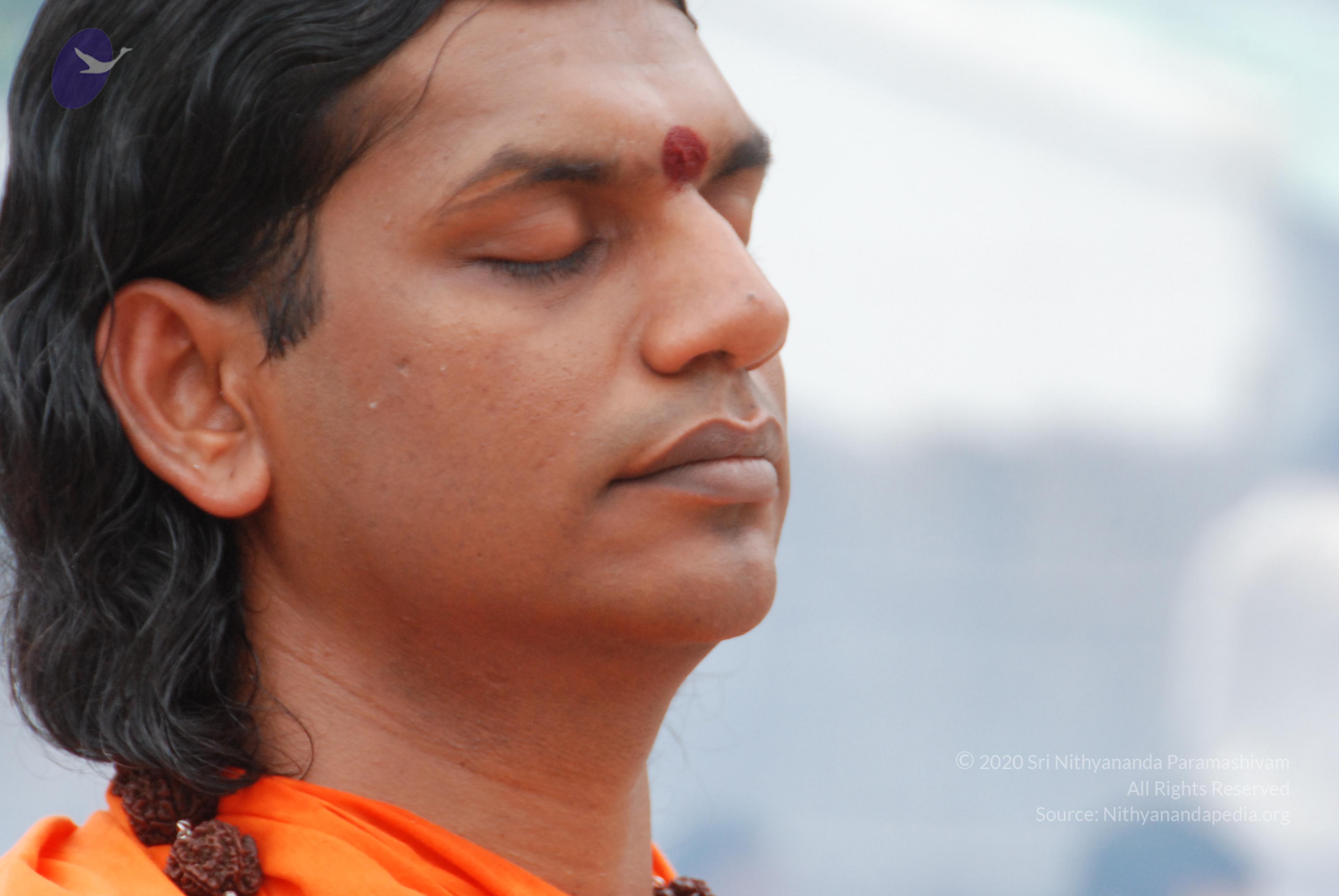 20170720_Photo_1231_DSC_3928_CMP_WM