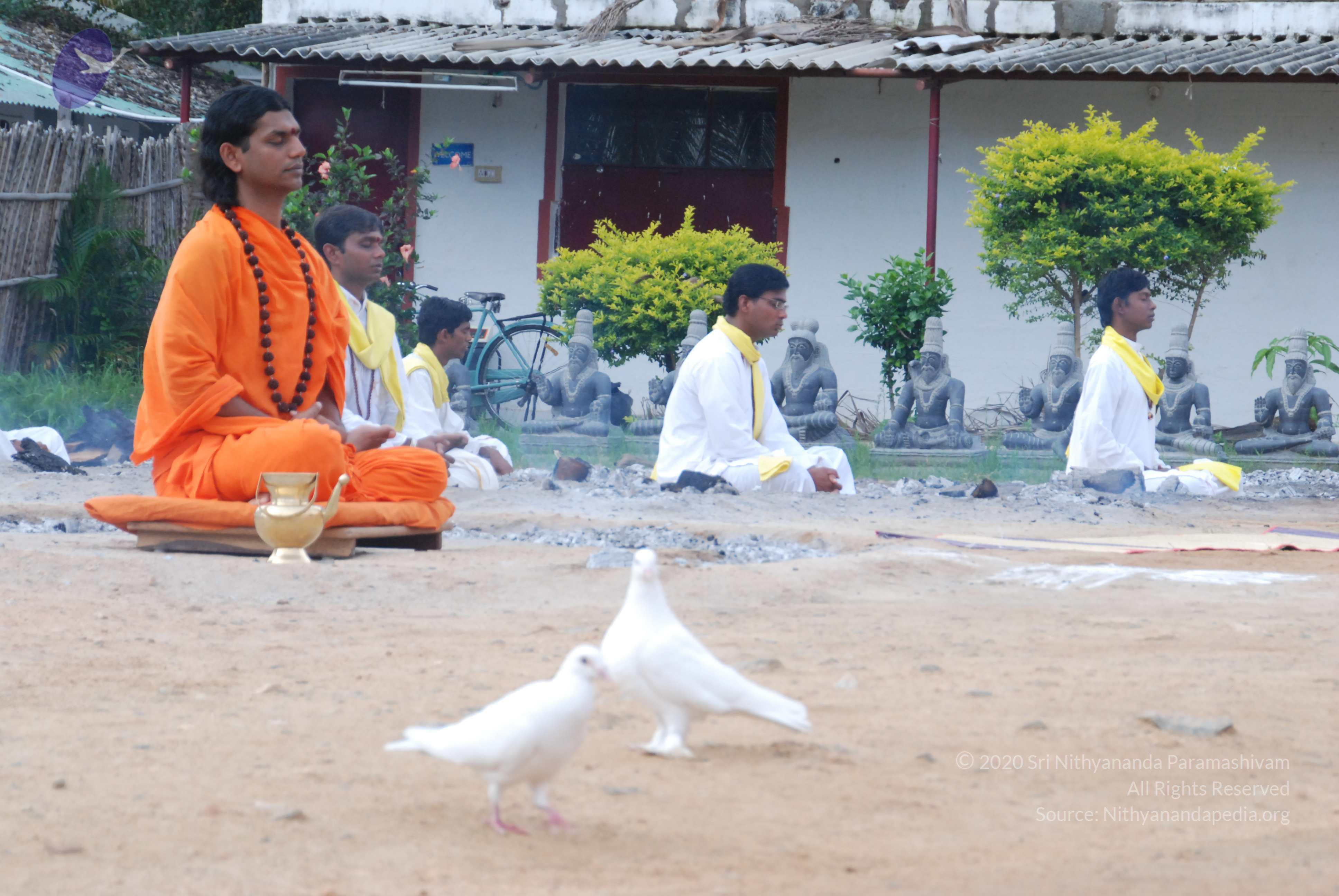 20170720_Photo_1241_DSC_4007_CMP_WM