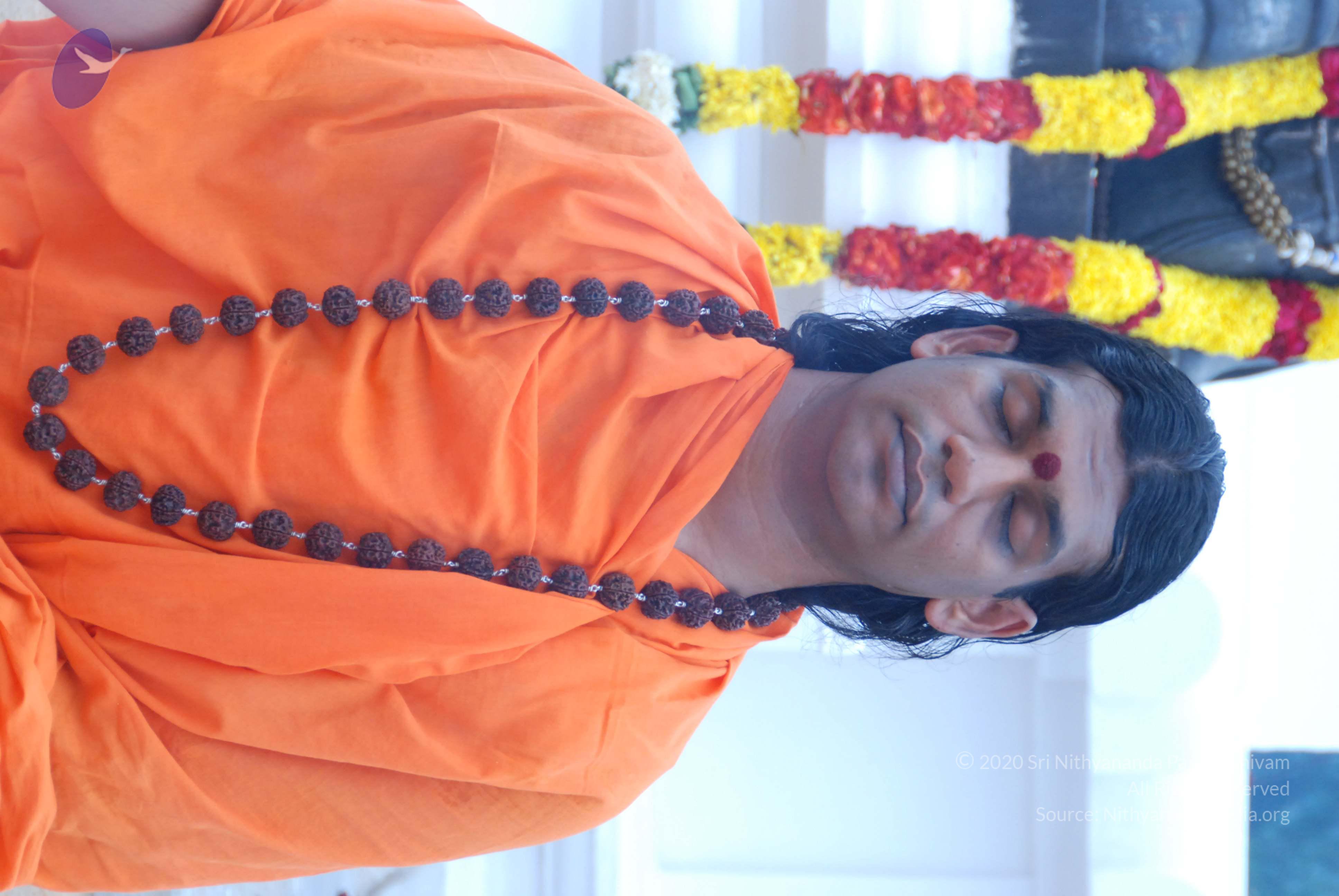 20170720_Photo_1242_DSC_3912_CMP_WM