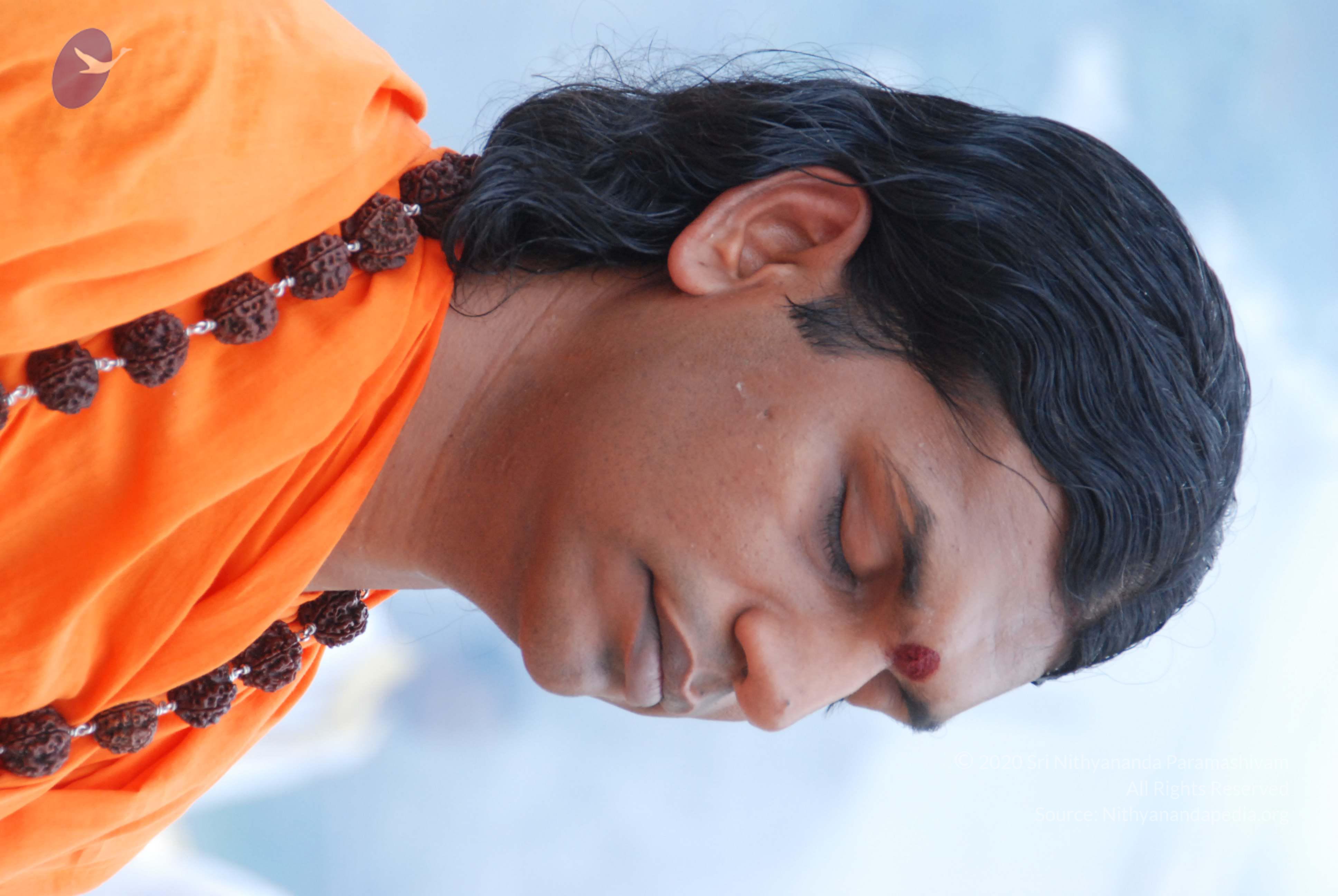 20170720_Photo_1243_DSC_3925_CMP_WM