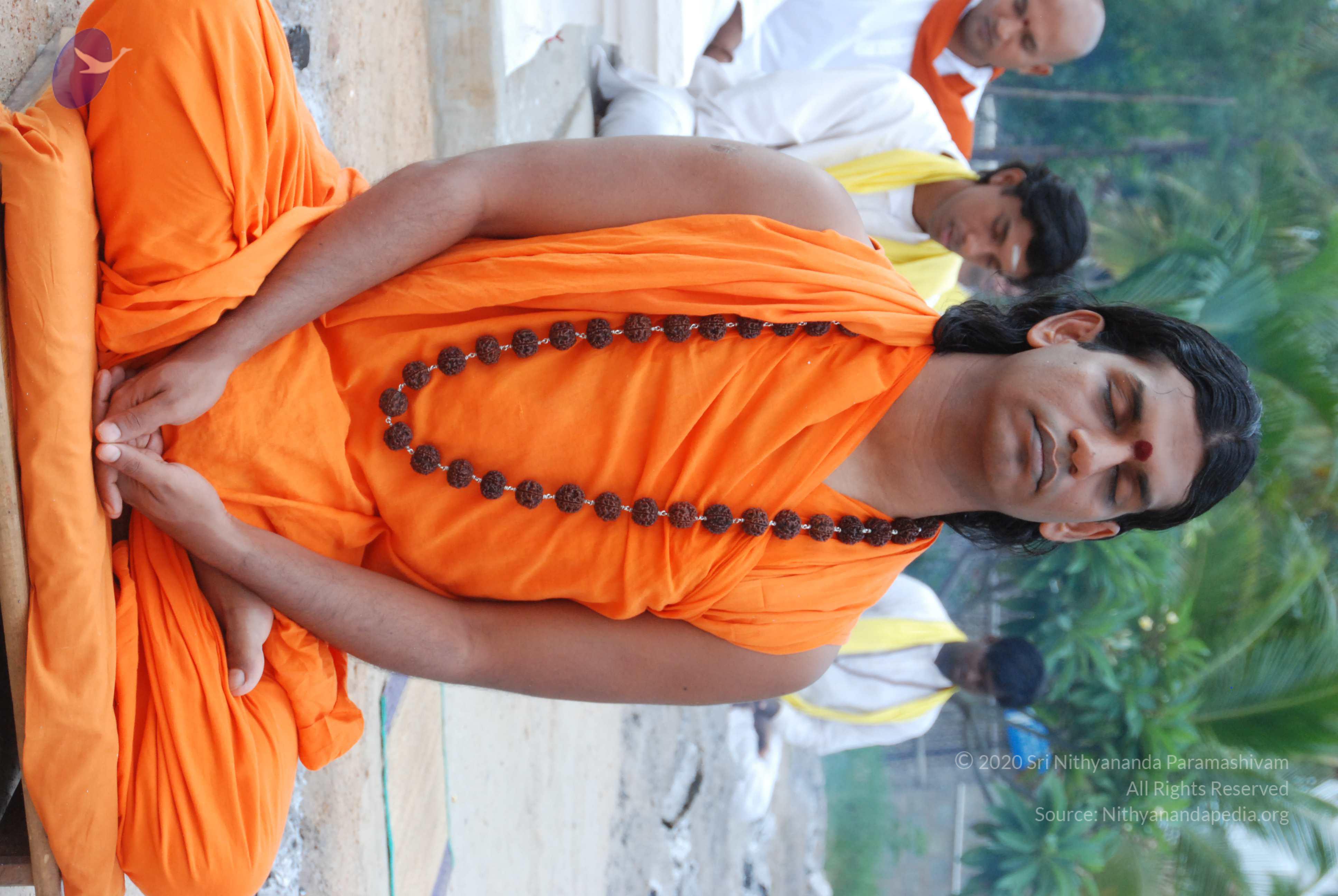 20170720_Photo_1246_DSC_4065_CMP_WM