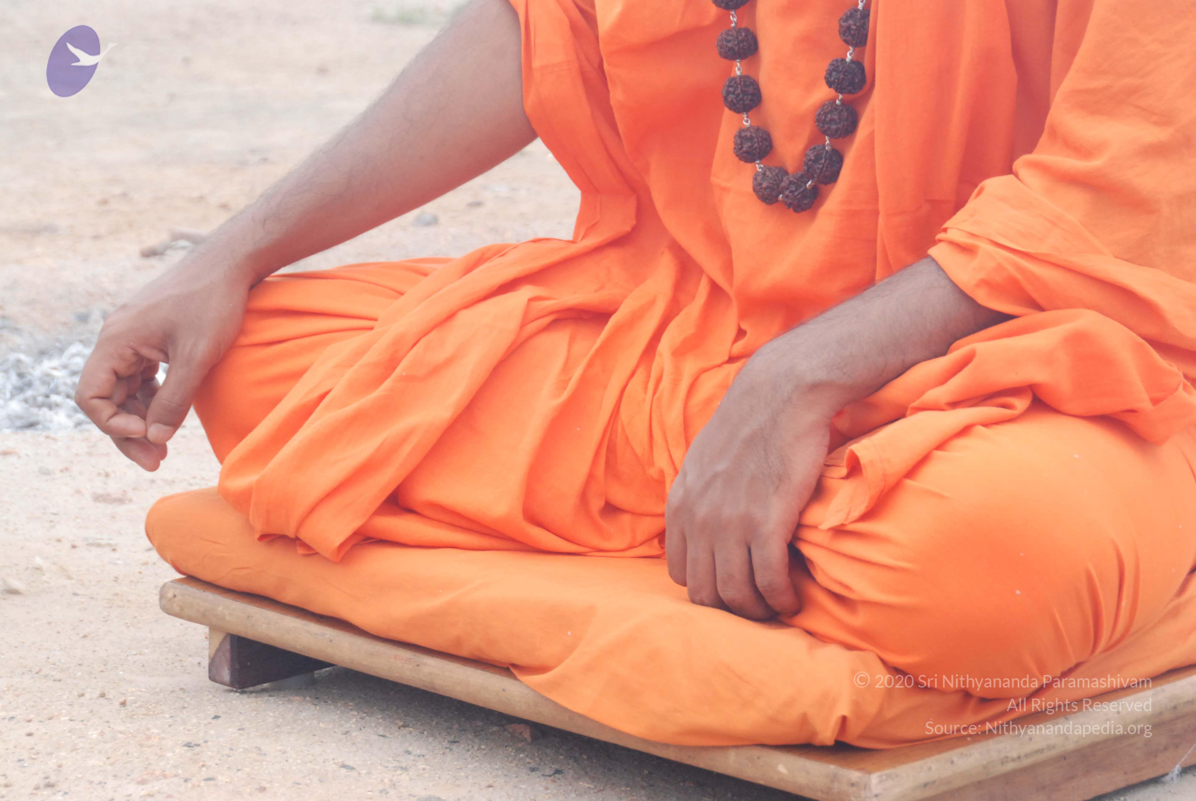 20170720_Photo_1249_DSC_3947_CMP_WM