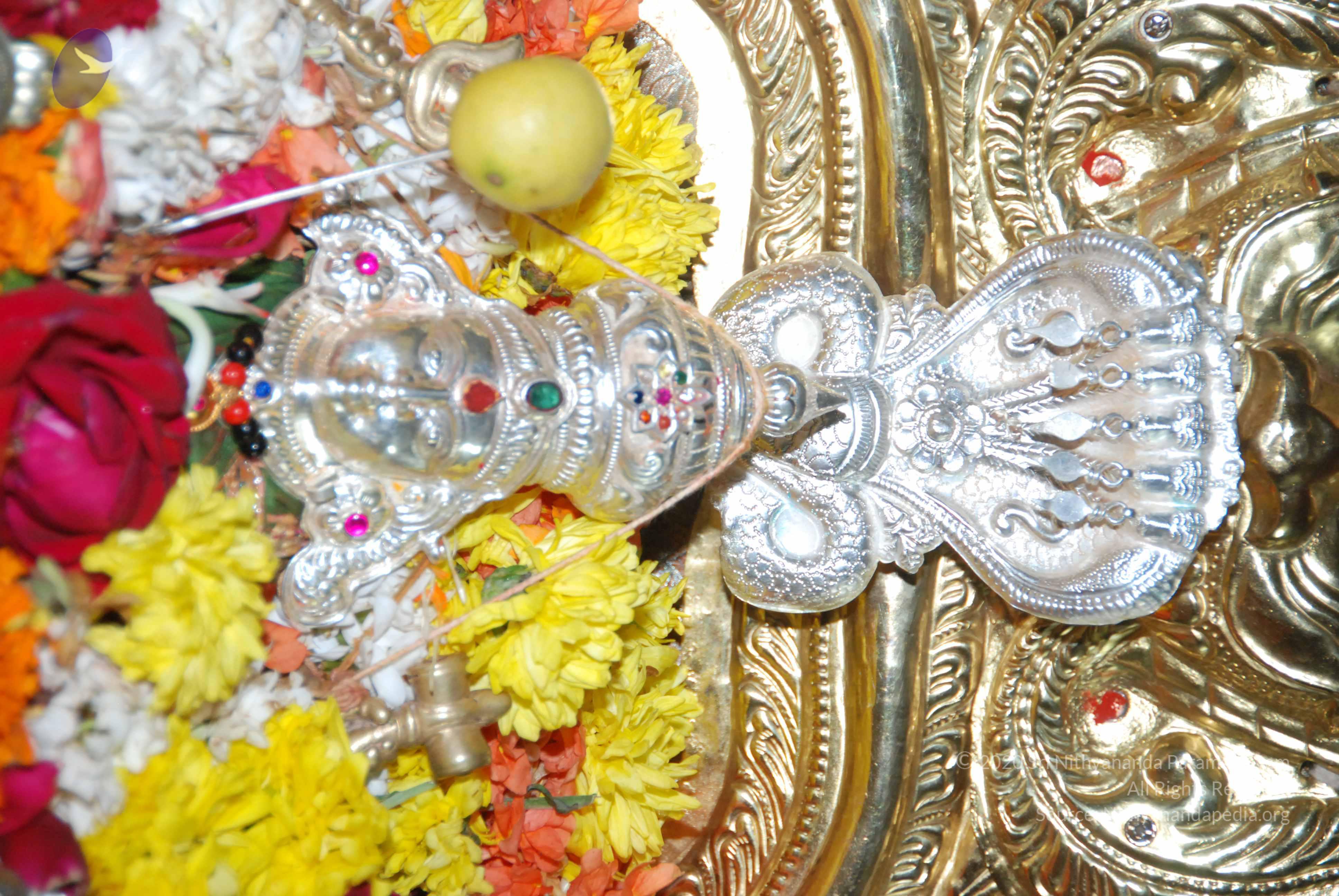 20170720_Photo_1000_DSC_4574_CMP_WM