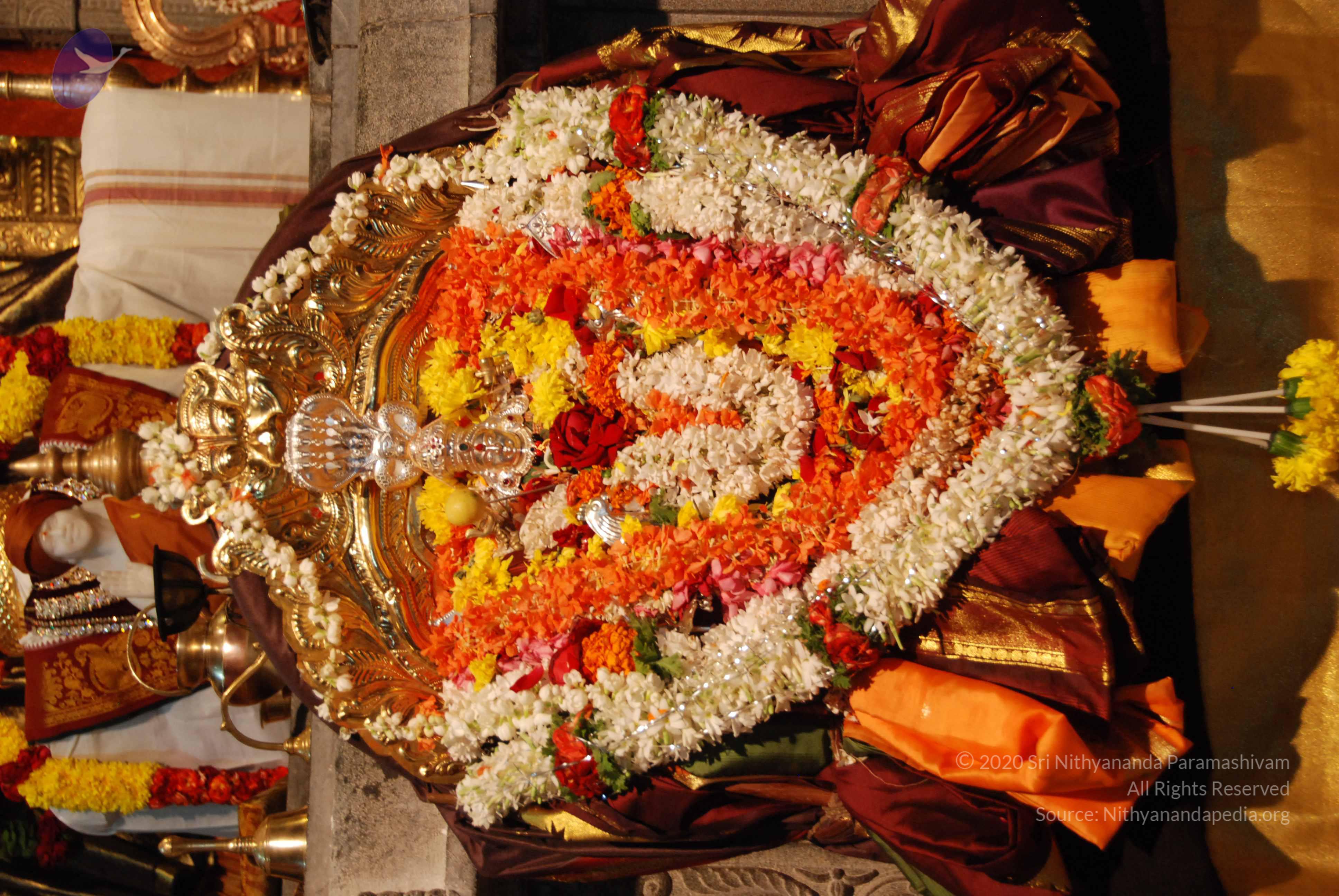 20170720_Photo_1001_DSC_4543_CMP_WM