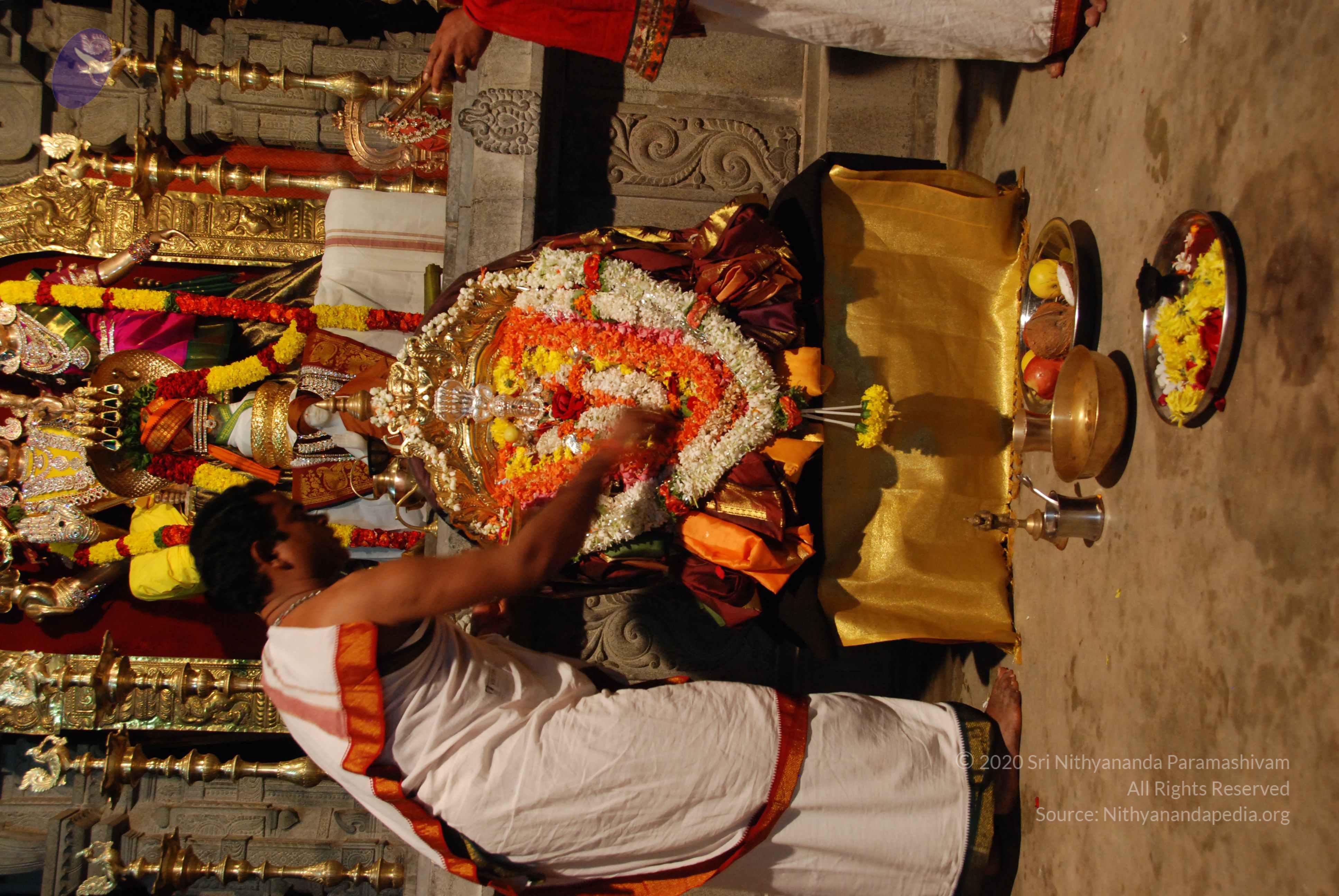 20170720_Photo_1002_DSC_4460_CMP_WM