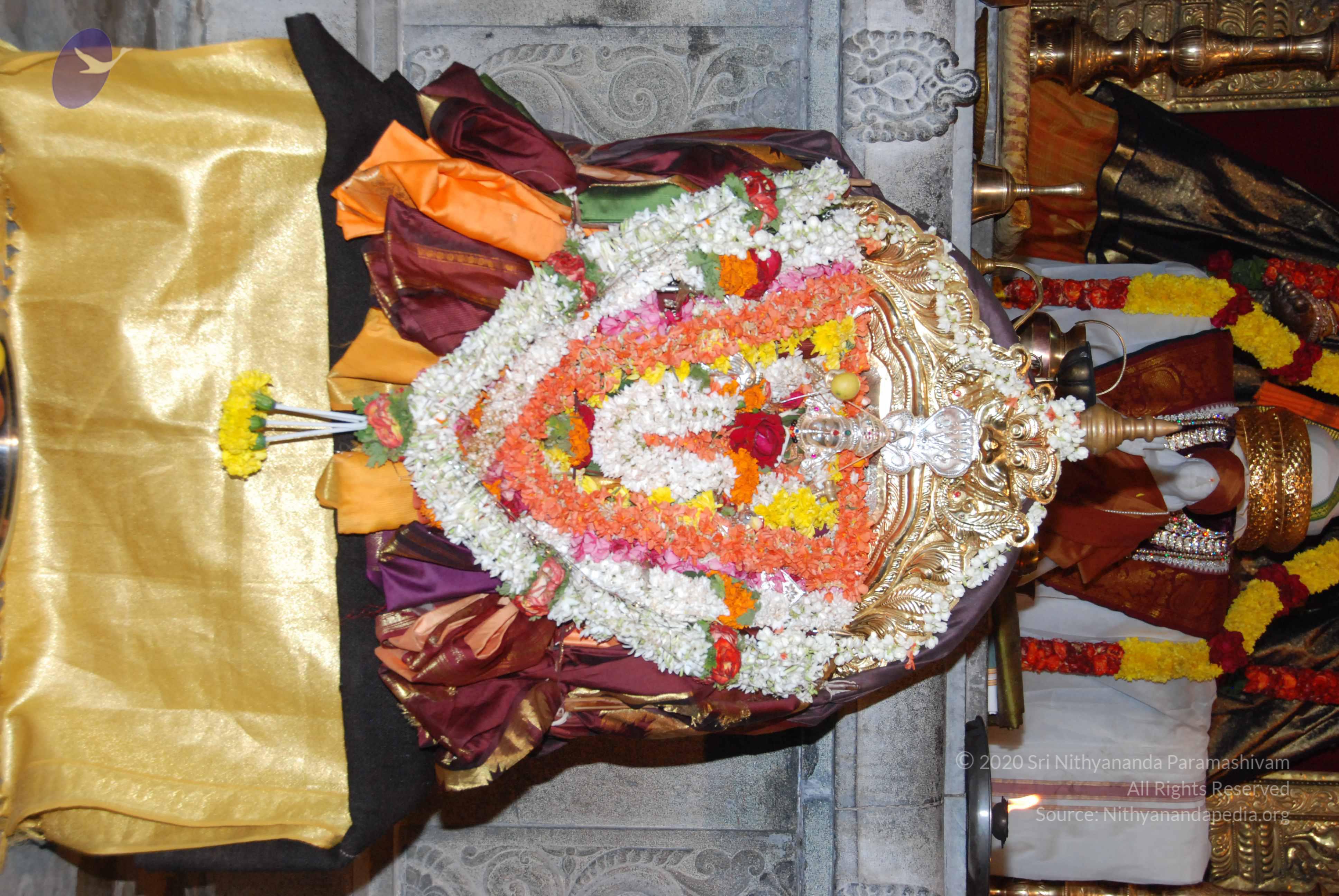 20170720_Photo_1009_DSC_4438_CMP_WM