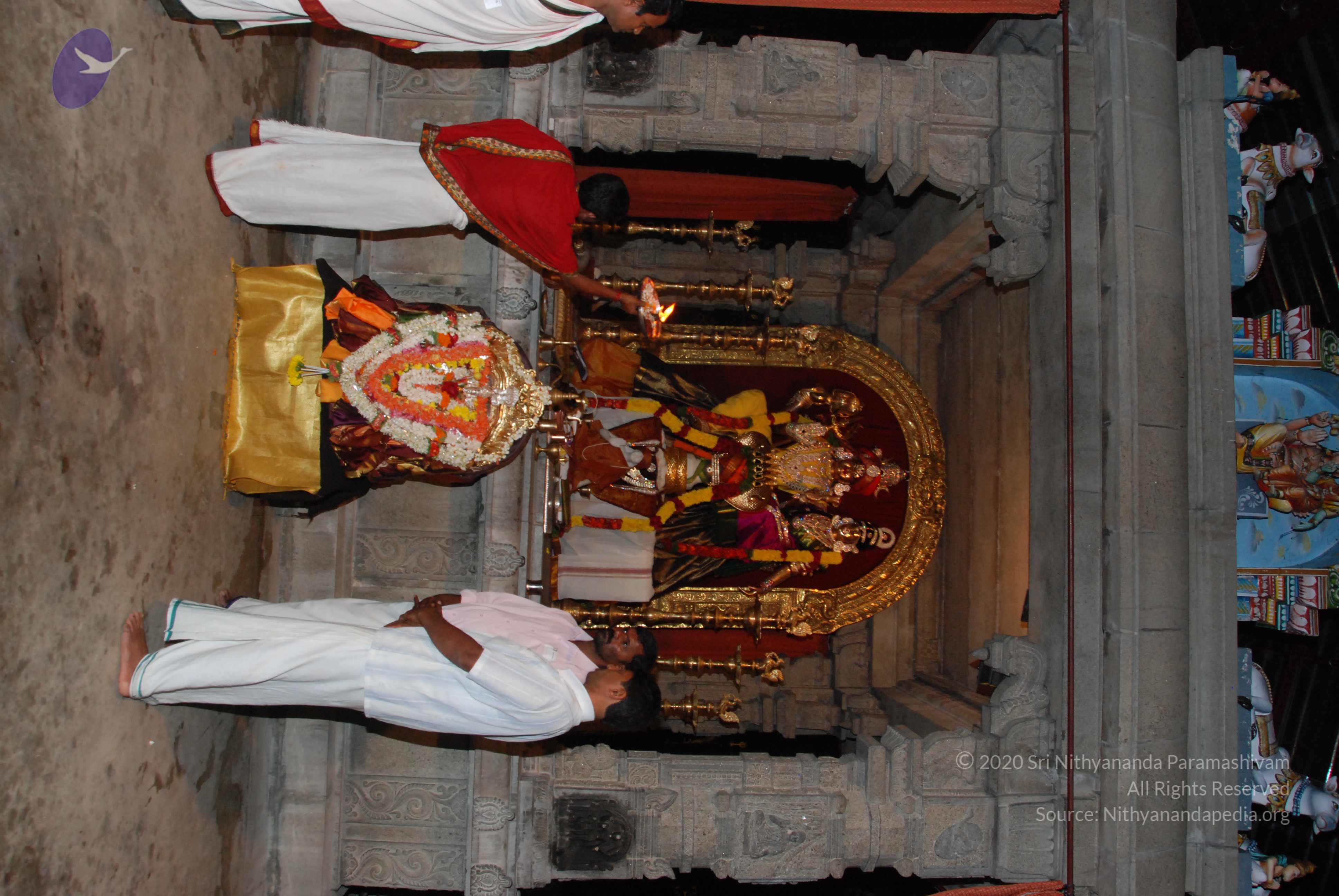 20170720_Photo_1013_DSC_4424_CMP_WM