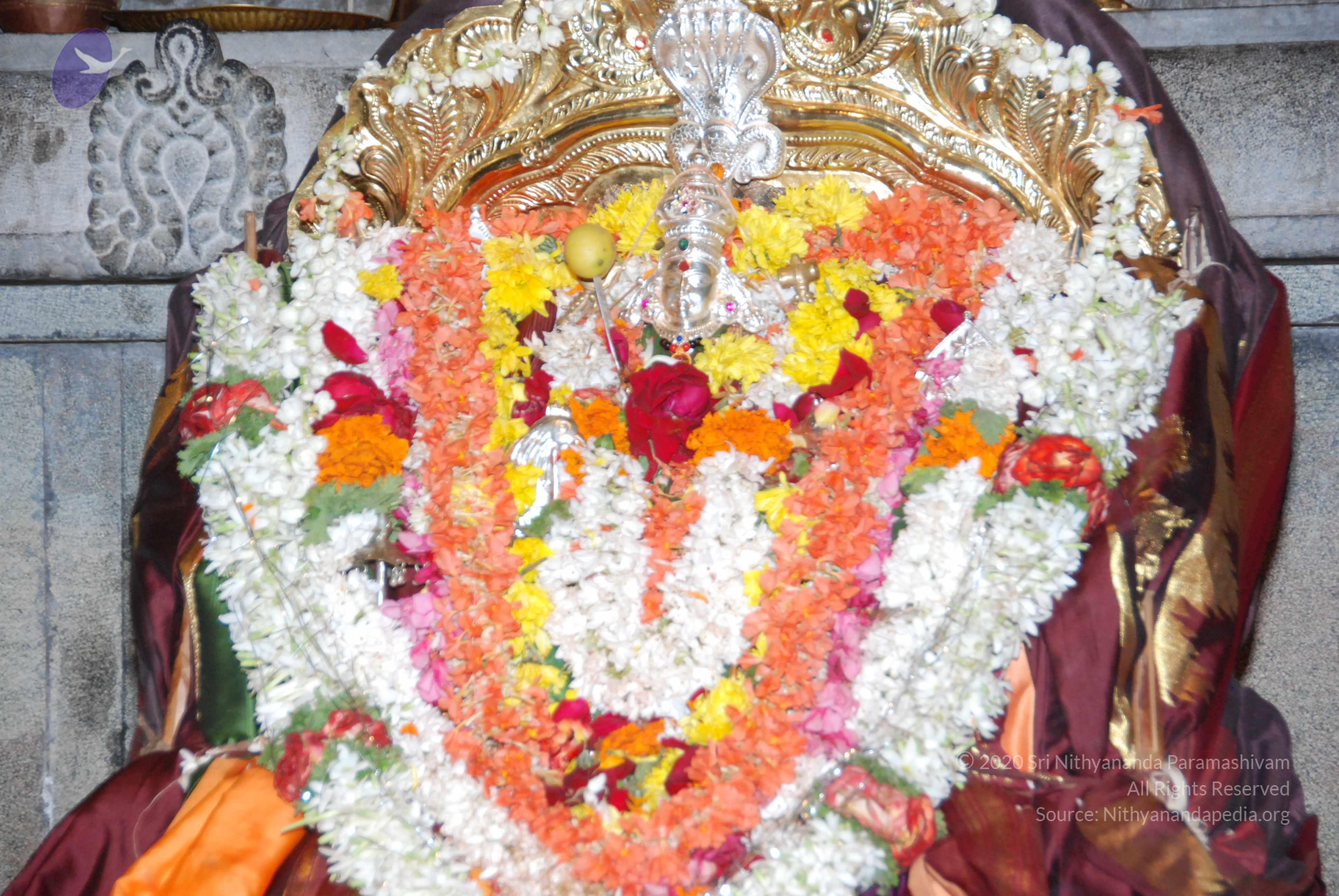 20170720_Photo_1015_DSC_4530_CMP_WM