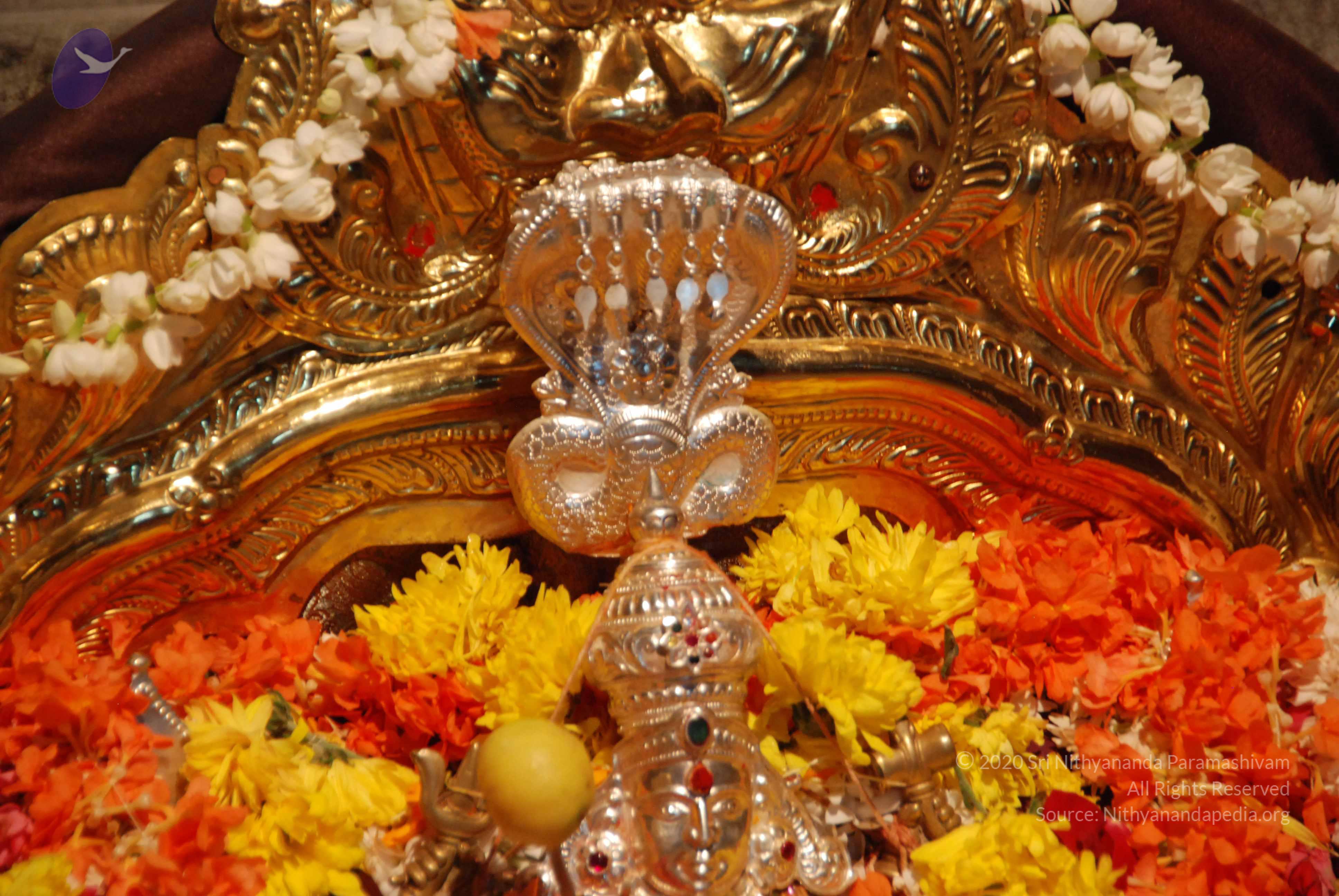 20170720_Photo_1017_DSC_4565_CMP_WM