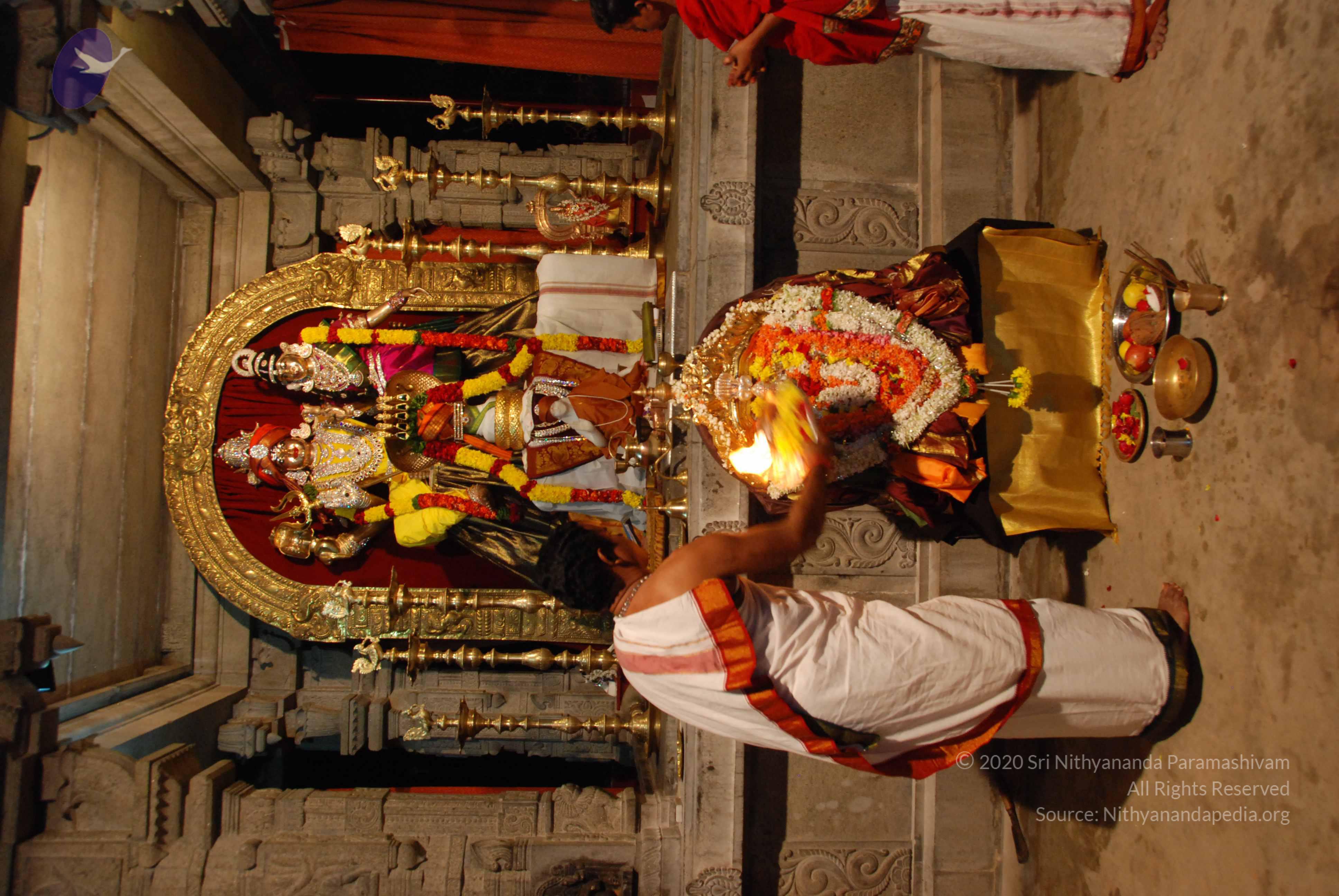 20170720_Photo_1019_DSC_4497_CMP_WM