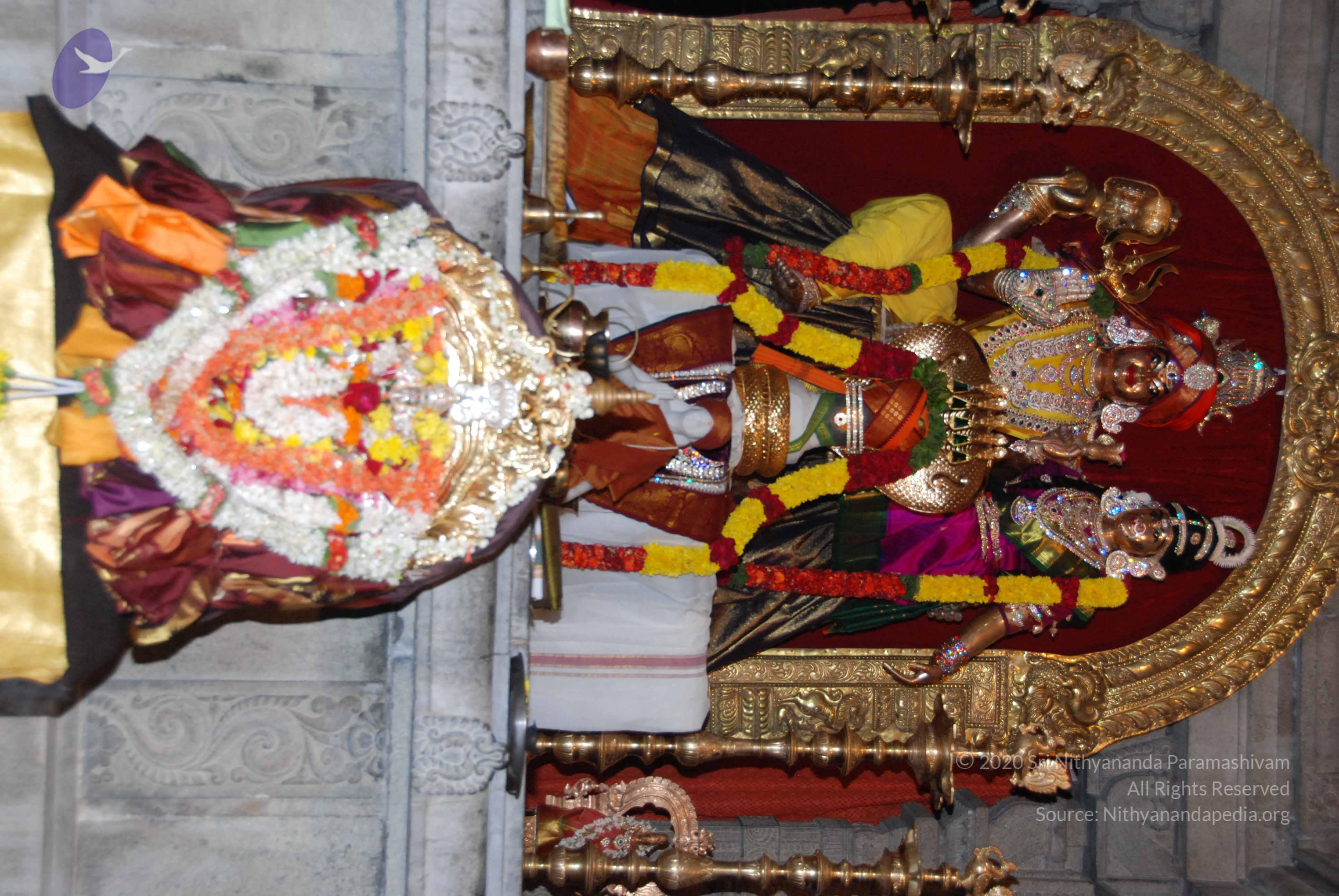 20170720_Photo_1022_DSC_4535_CMP_WM