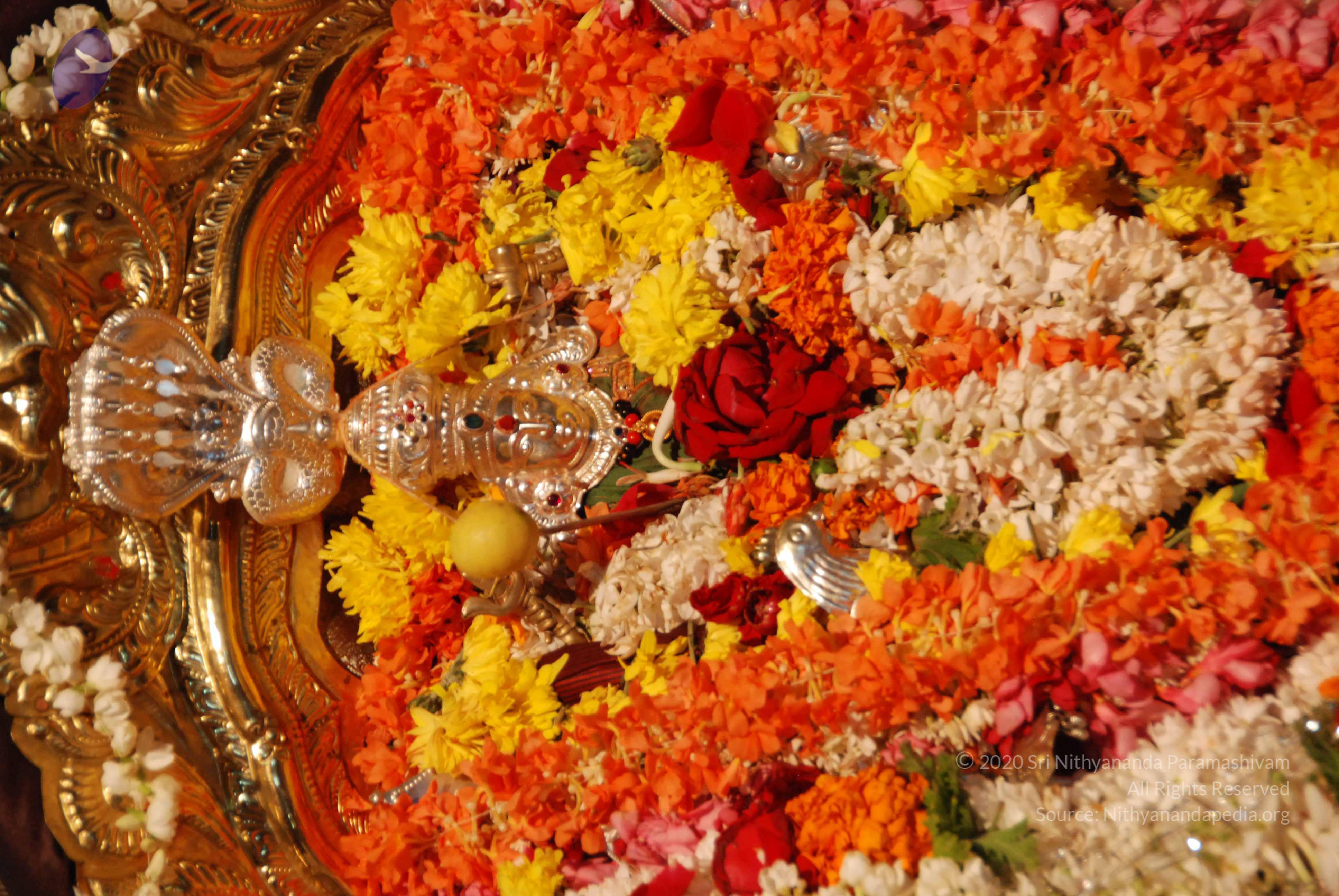 20170720_Photo_1025_DSC_4557_CMP_WM