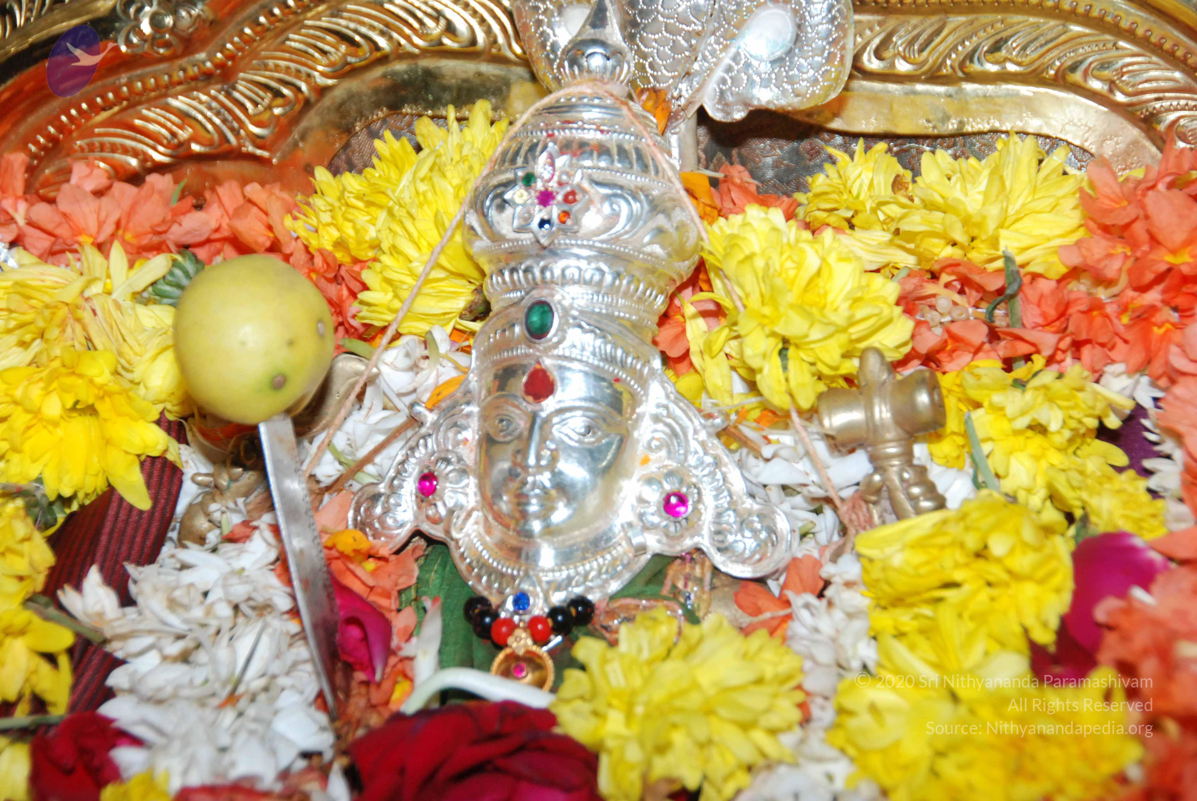 20170720_Photo_1026_DSC_4609_CMP_WM