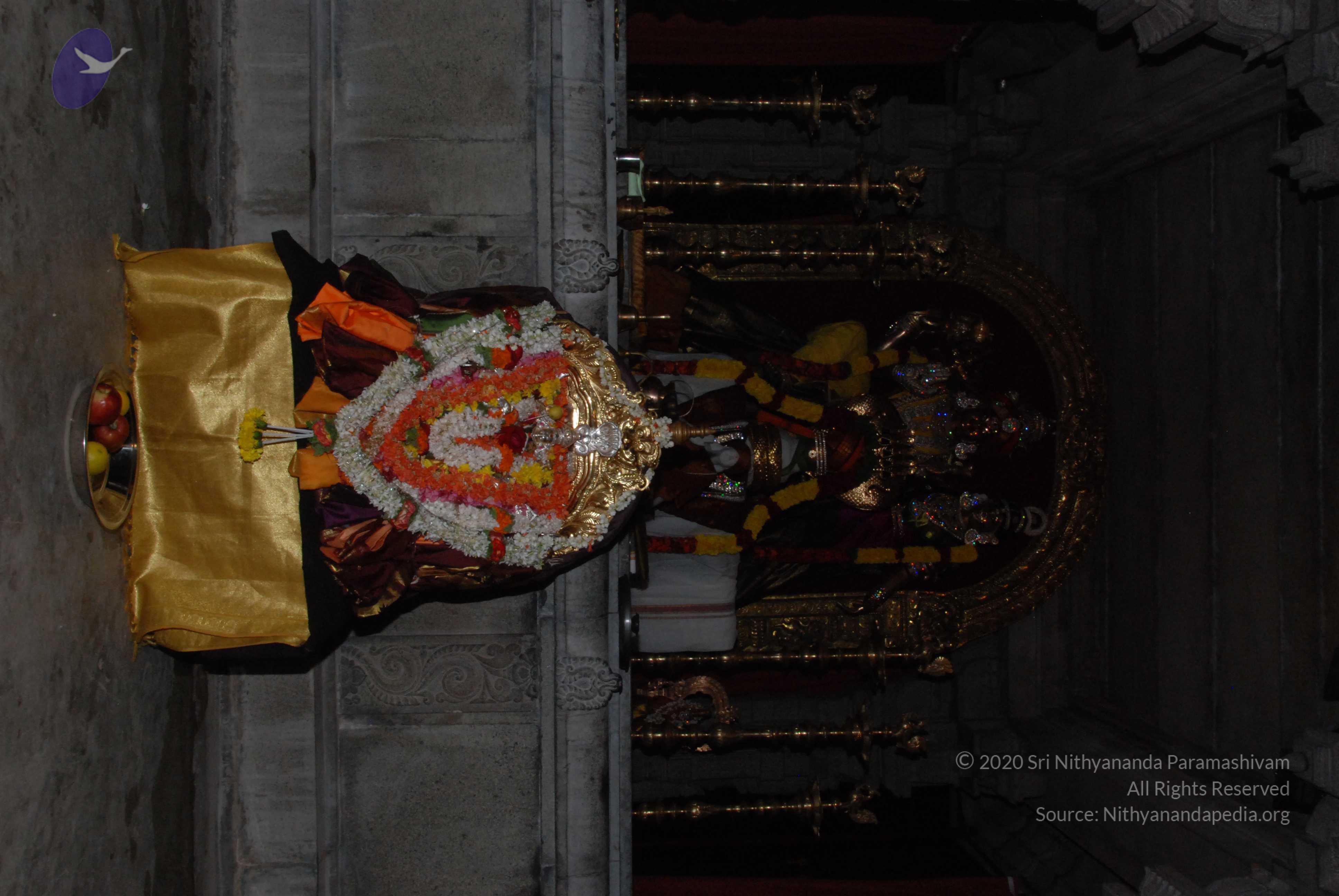 20170720_Photo_1027_DSC_4443_CMP_WM