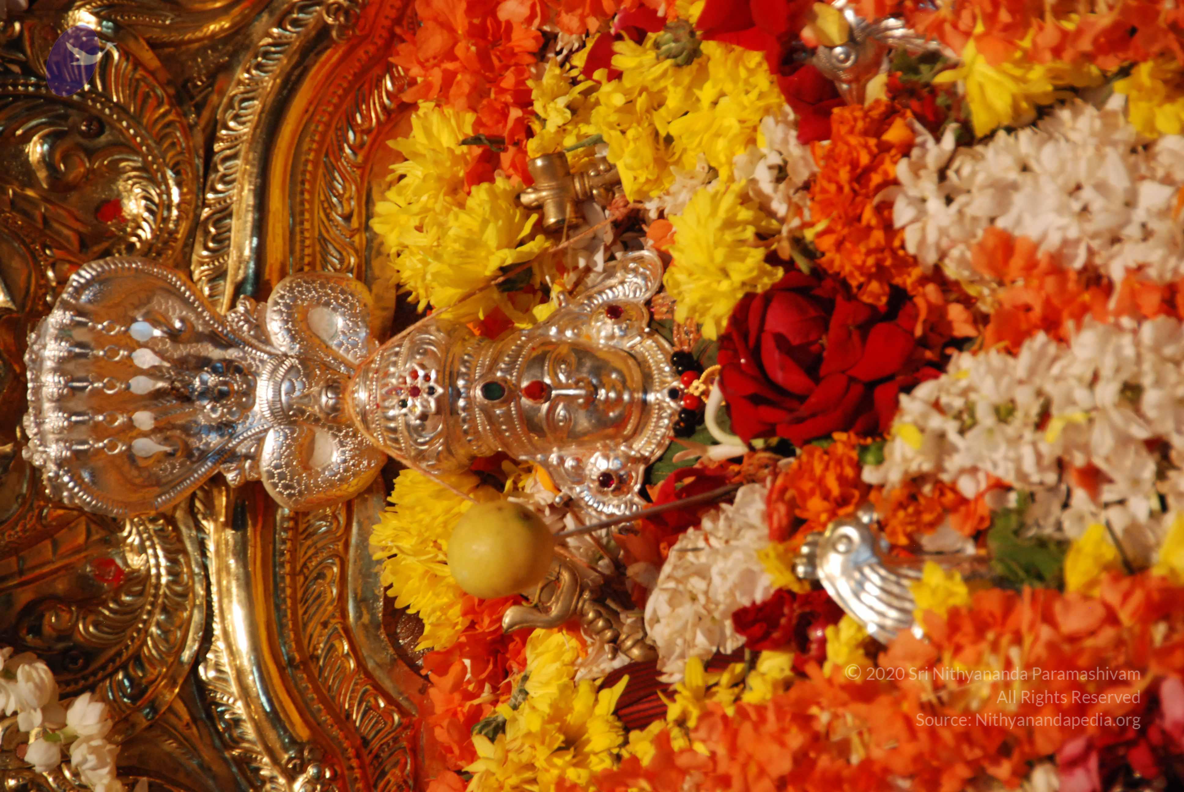 20170720_Photo_1028_DSC_4546_CMP_WM