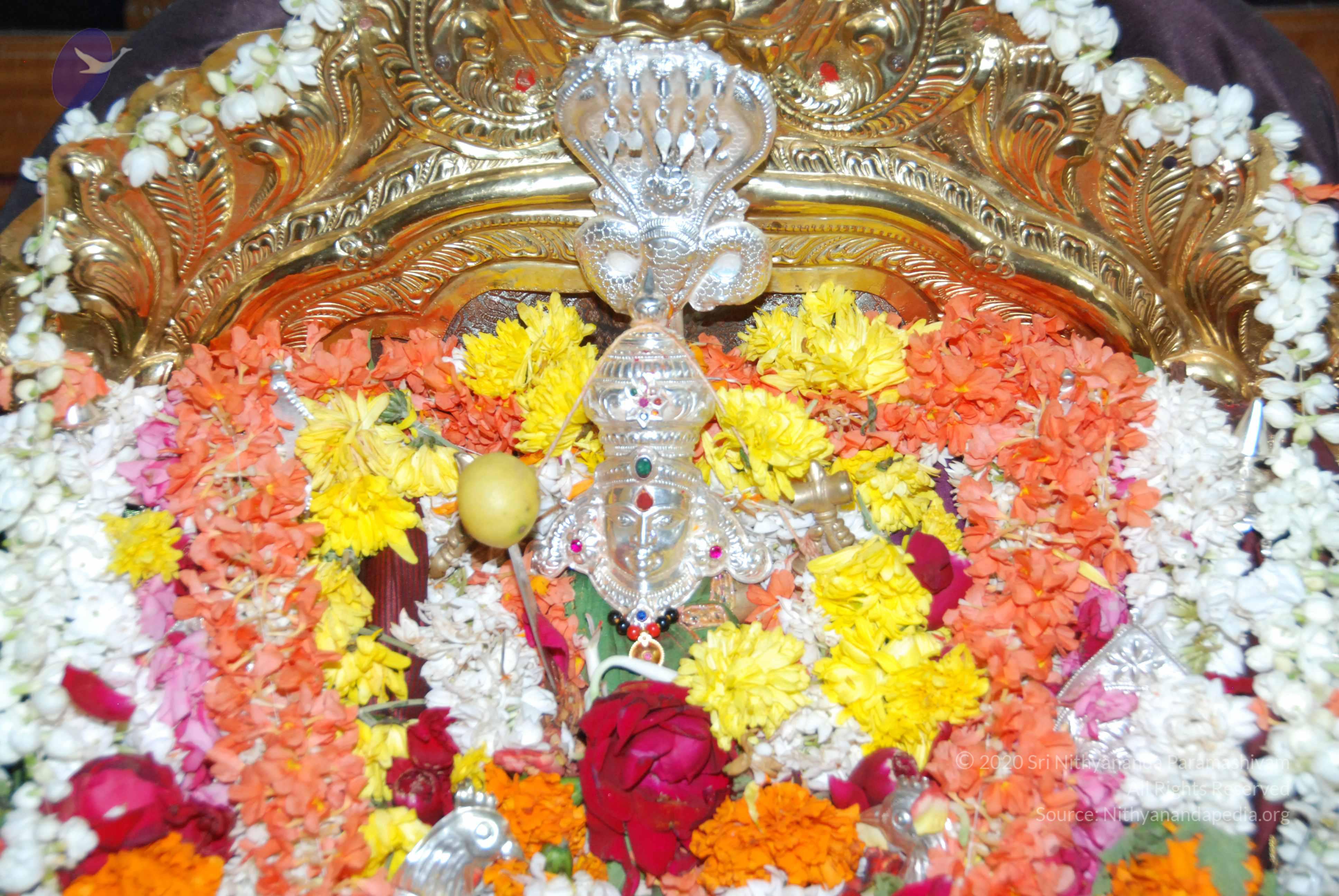 20170720_Photo_1029_DSC_4571_CMP_WM