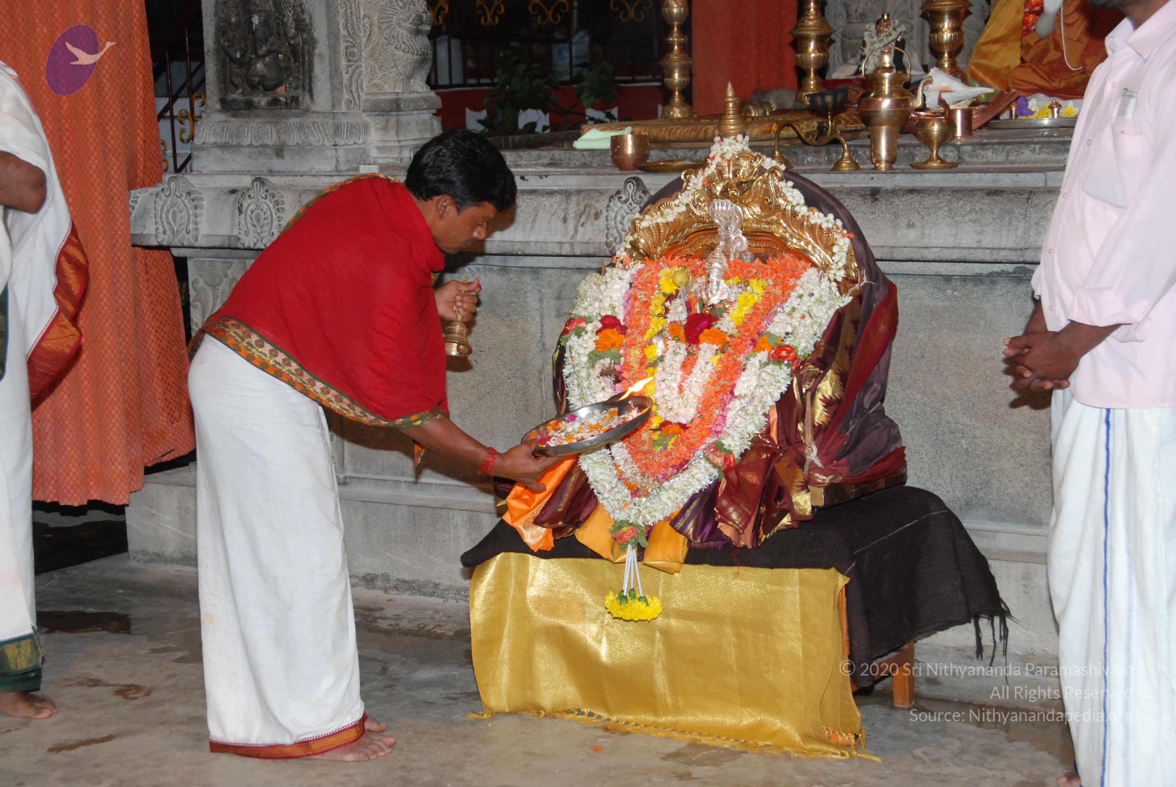 20170720_Photo_1030_DSC_4430_CMP_WM